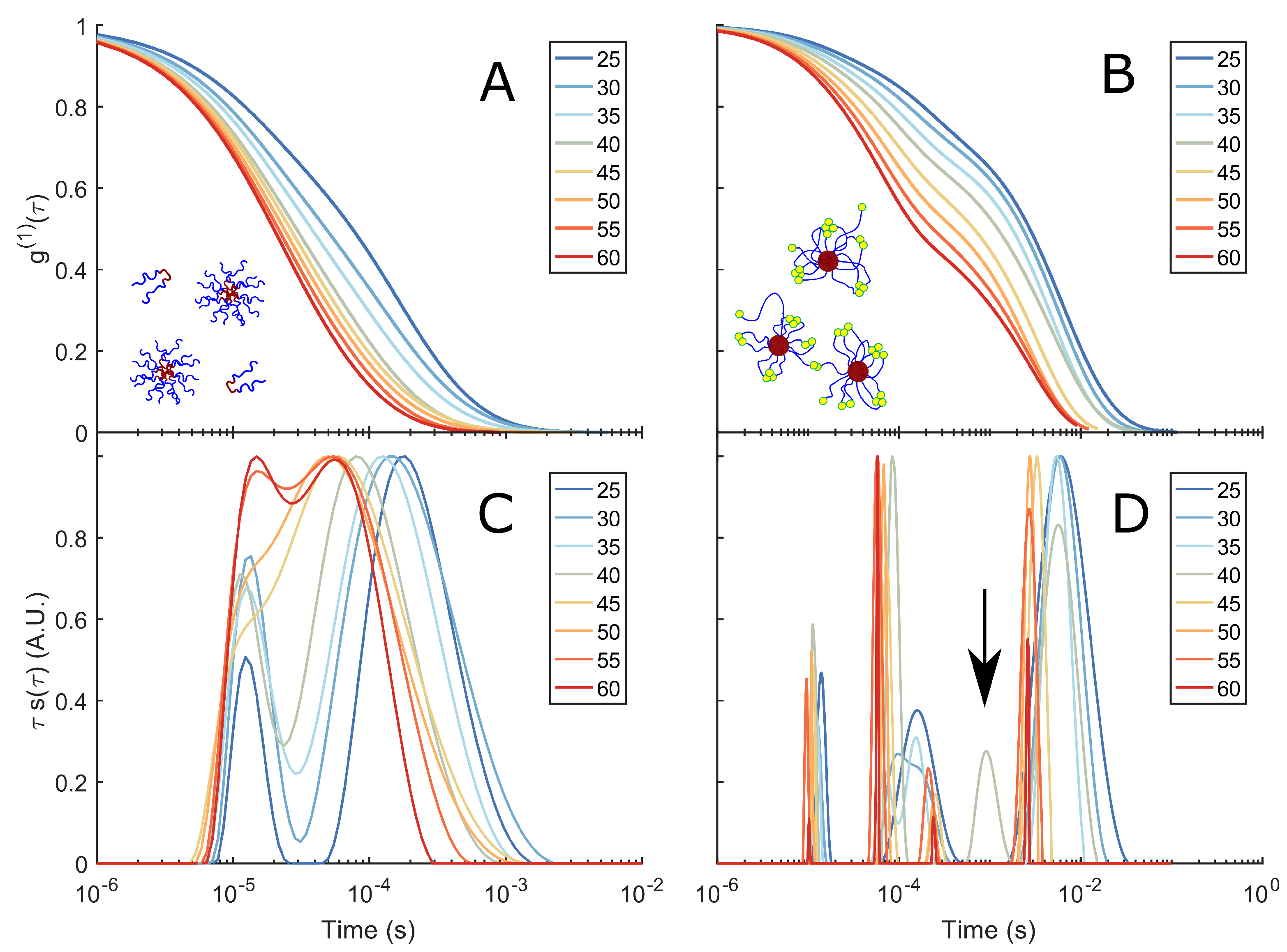Polymers 15 00481 g003