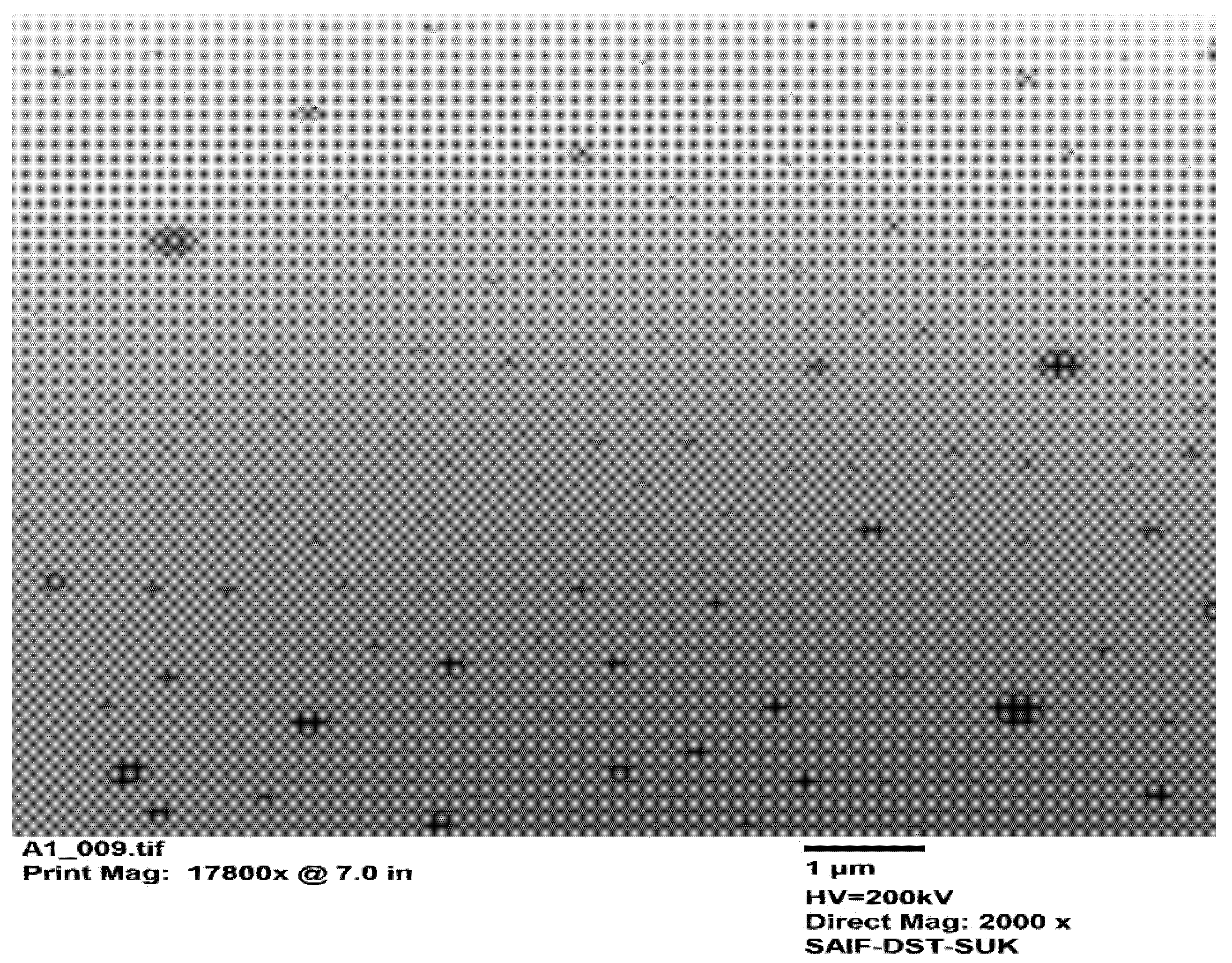 Polymers 15 00483 g005