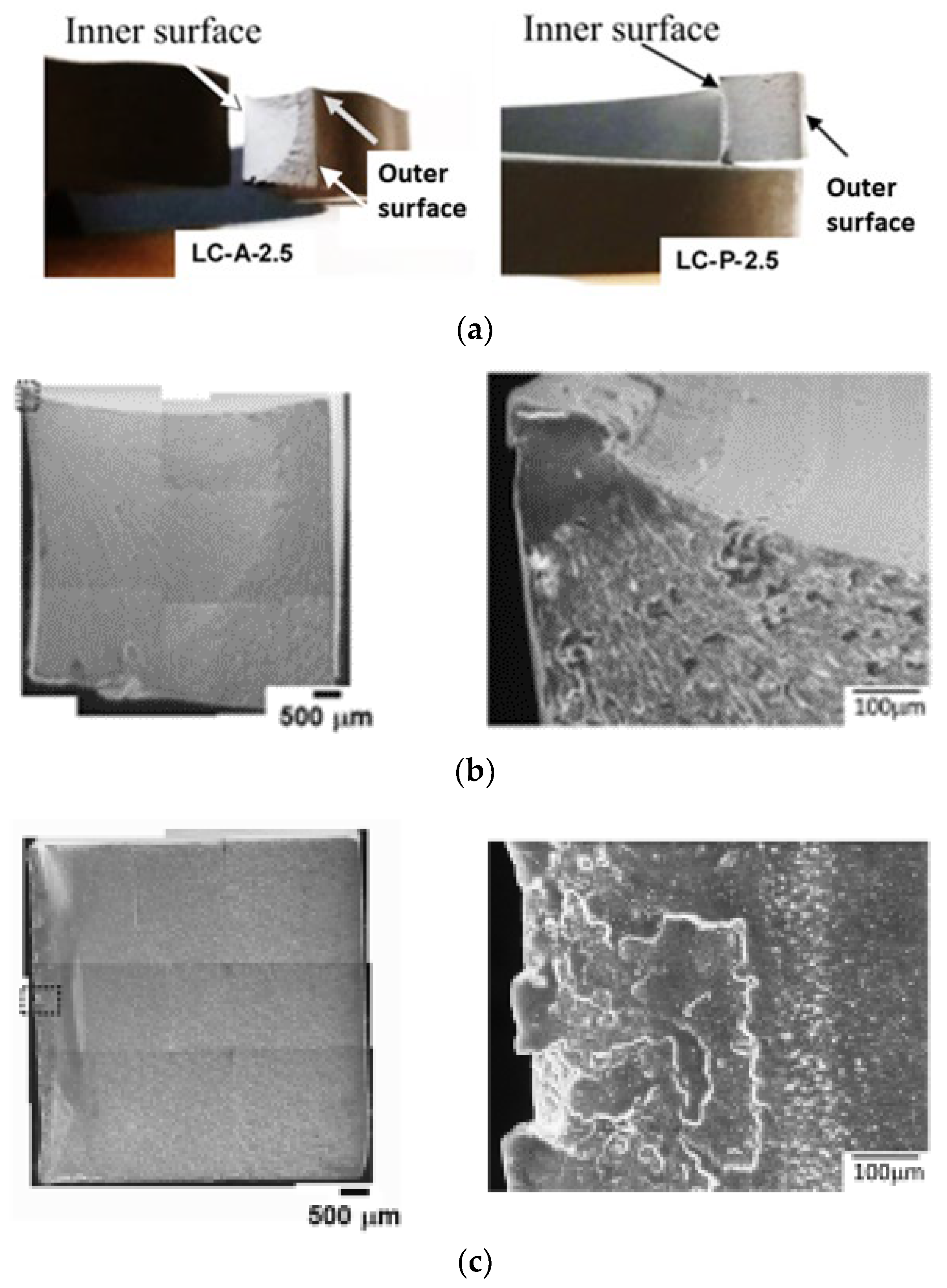 Polymers 15 00489 g006