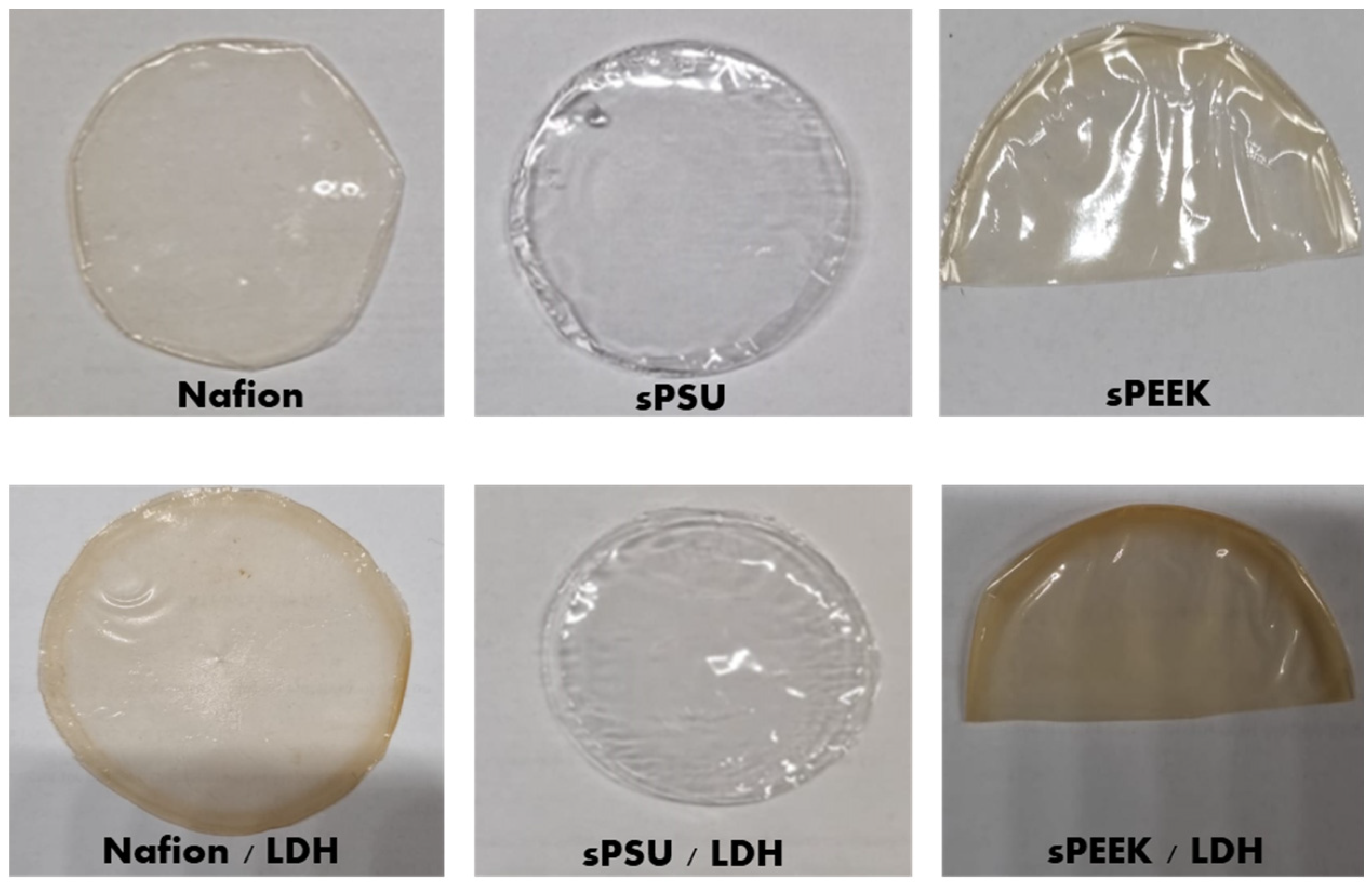 Polymers 15 00502 g001