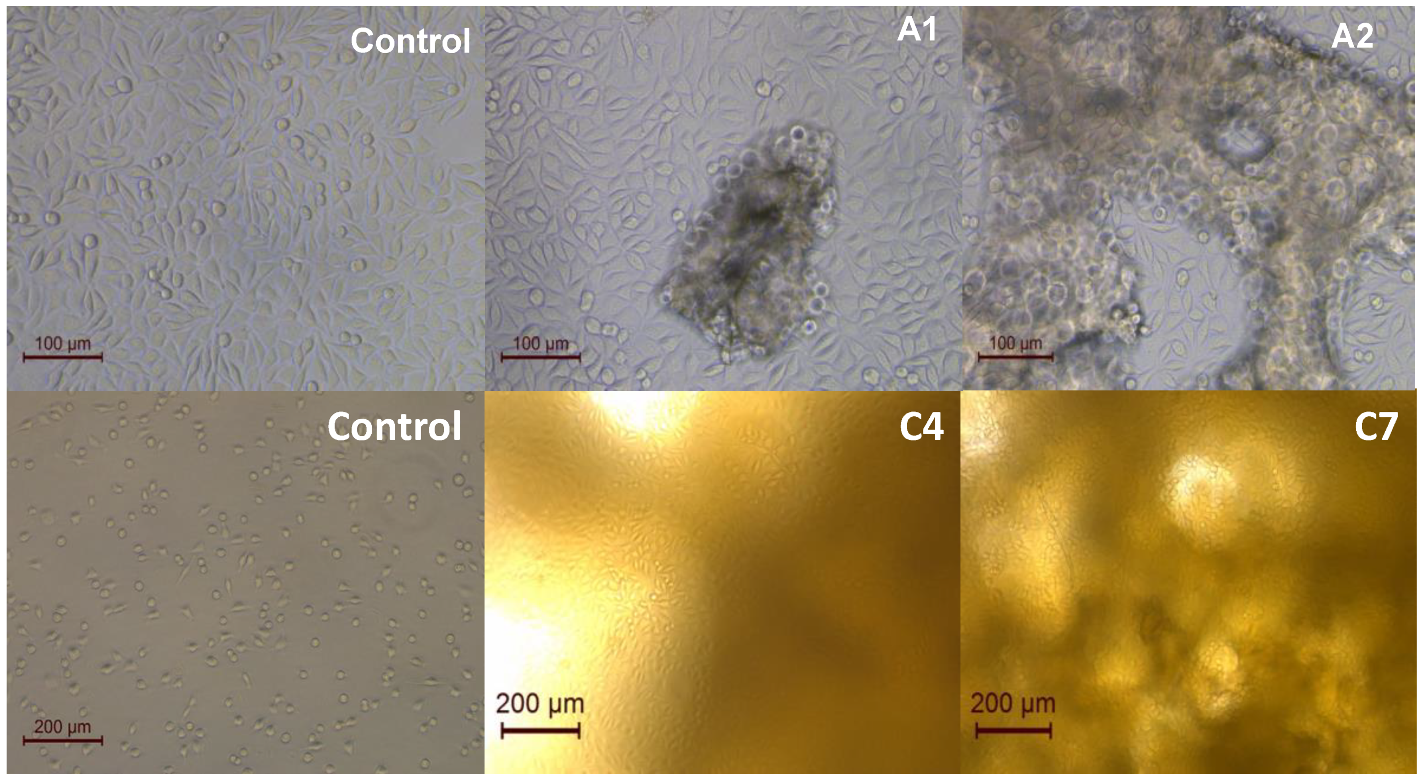 Polymers 15 00504 g012
