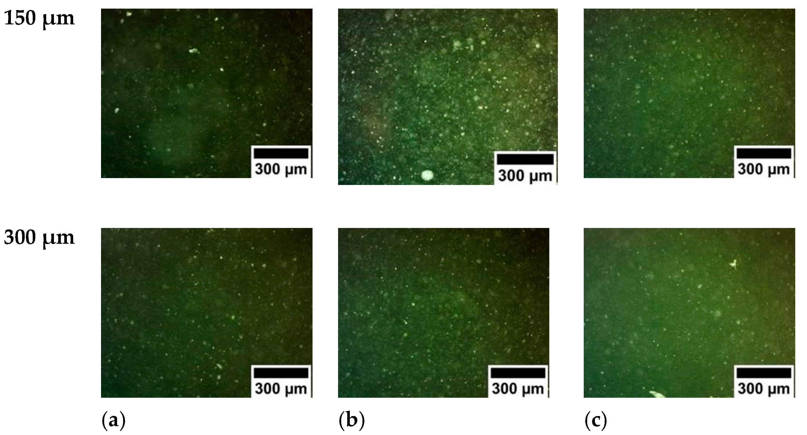 Polymers 15 00505 g002