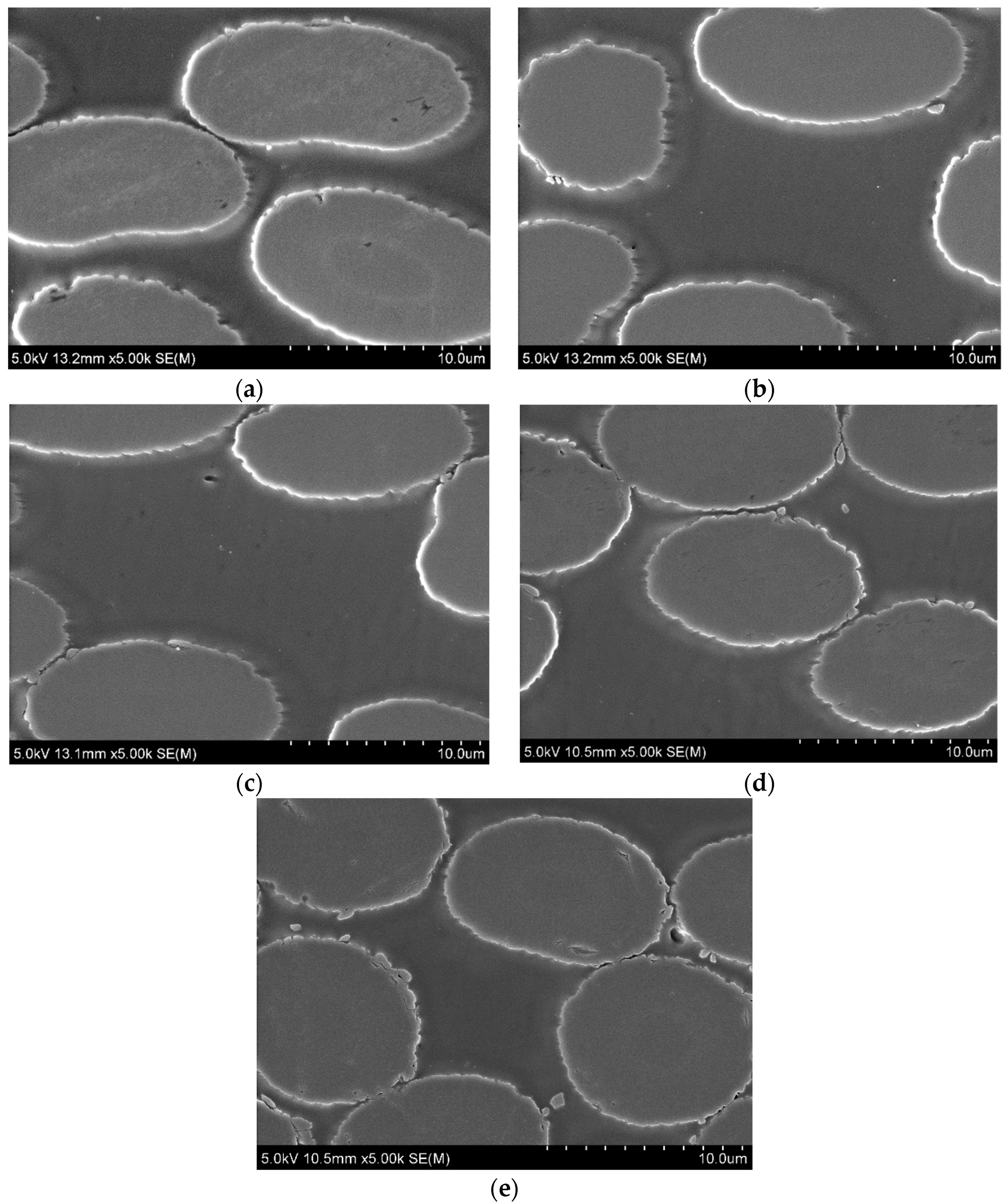 Polymers 15 00506 g003