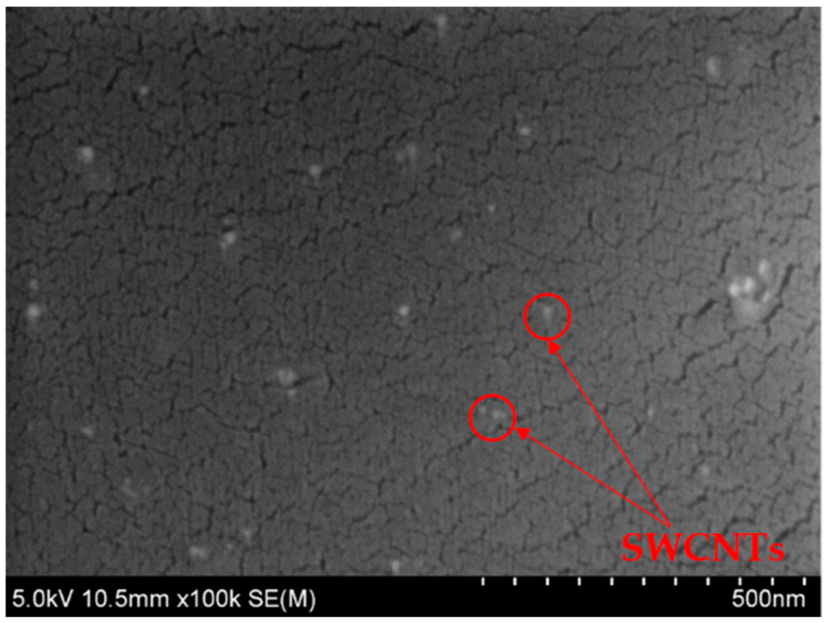 Polymers 15 00506 g004