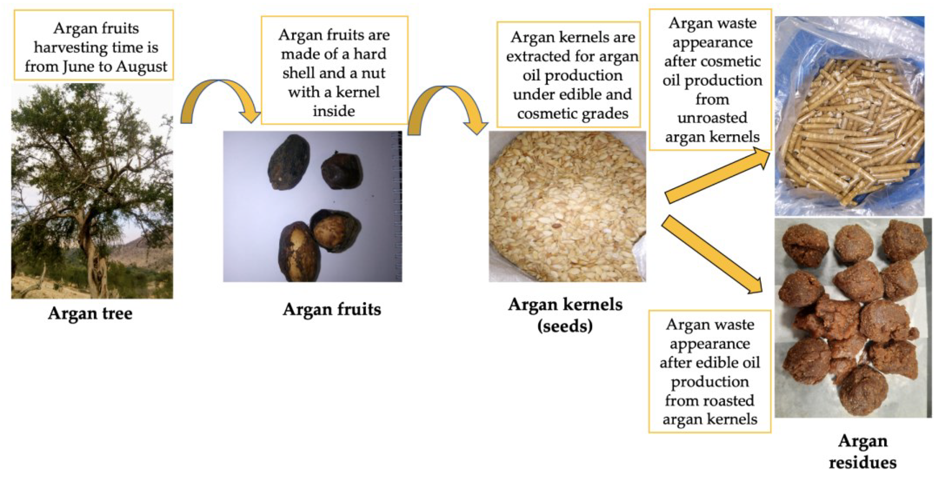 Polymers 15 00512 g001