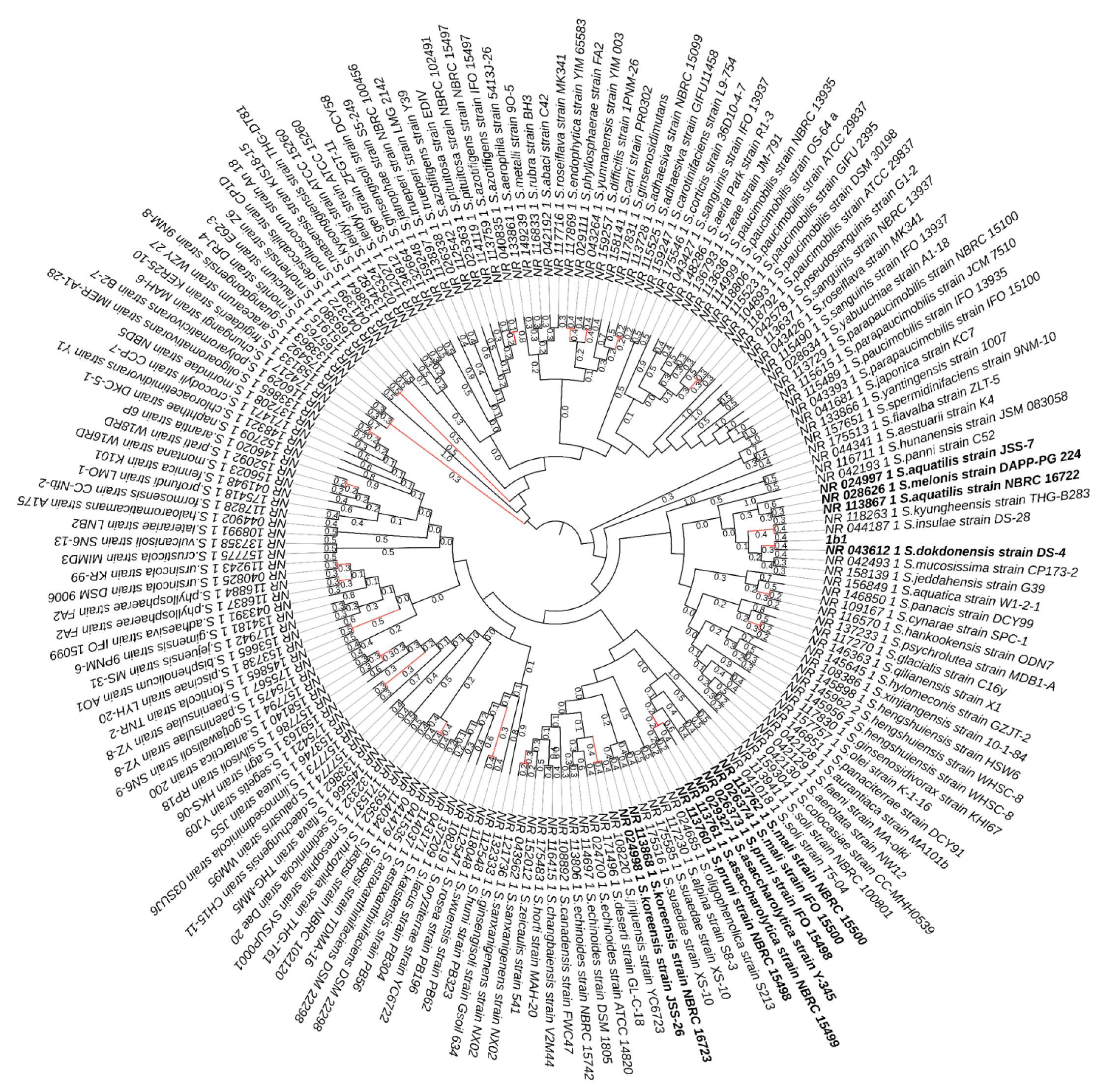 Polymers 15 00512 g002
