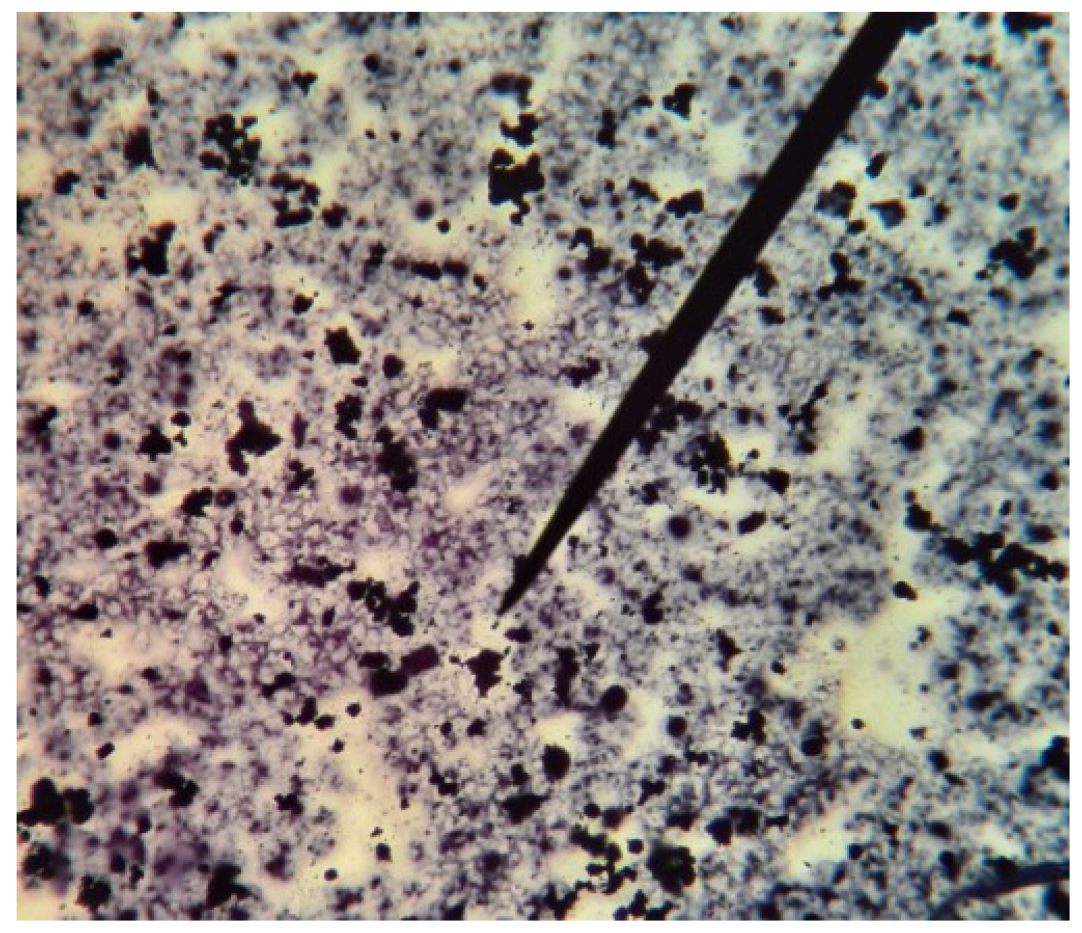 Polymers 15 00512 g003