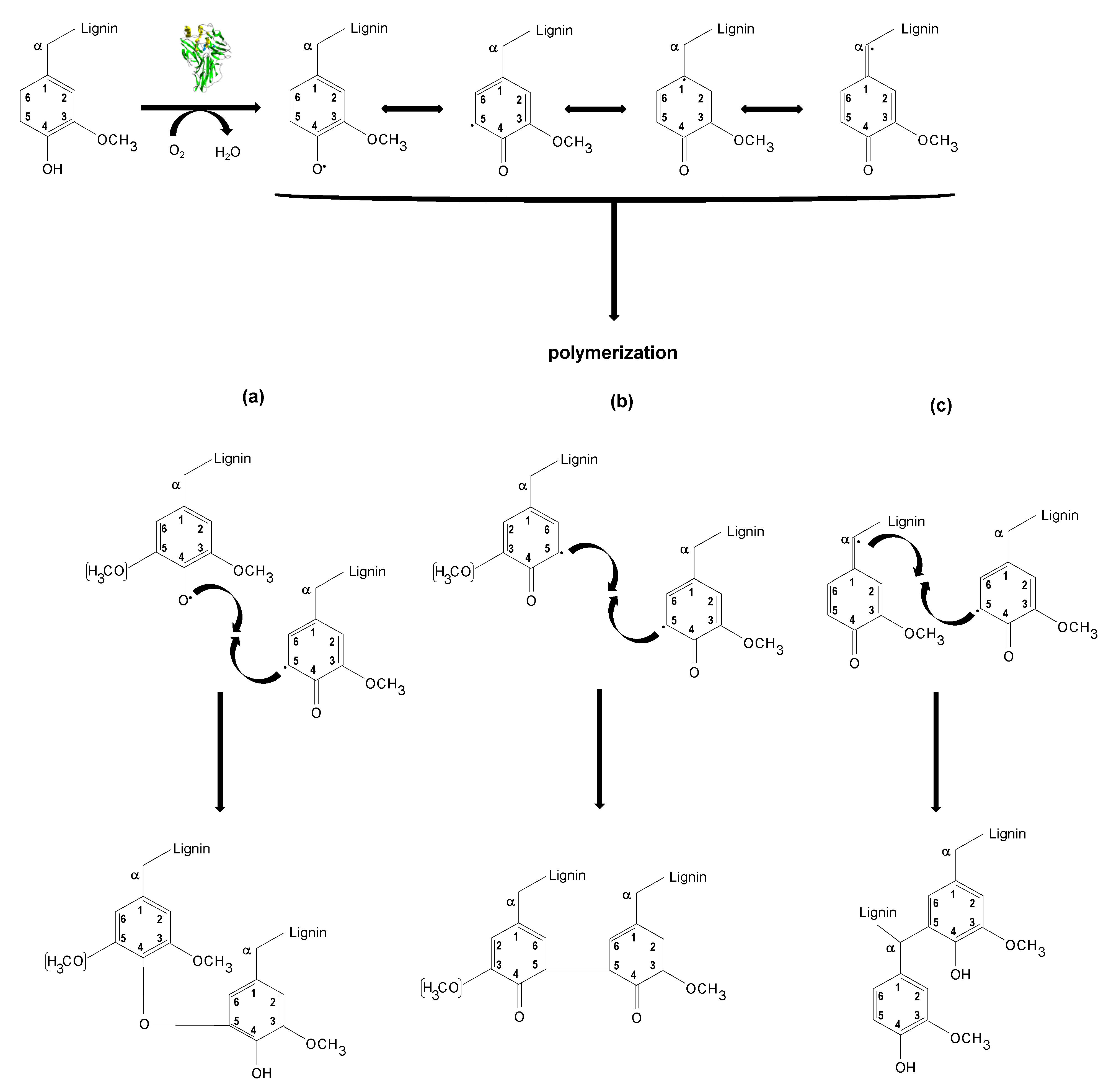 Polymers 15 00513 g009