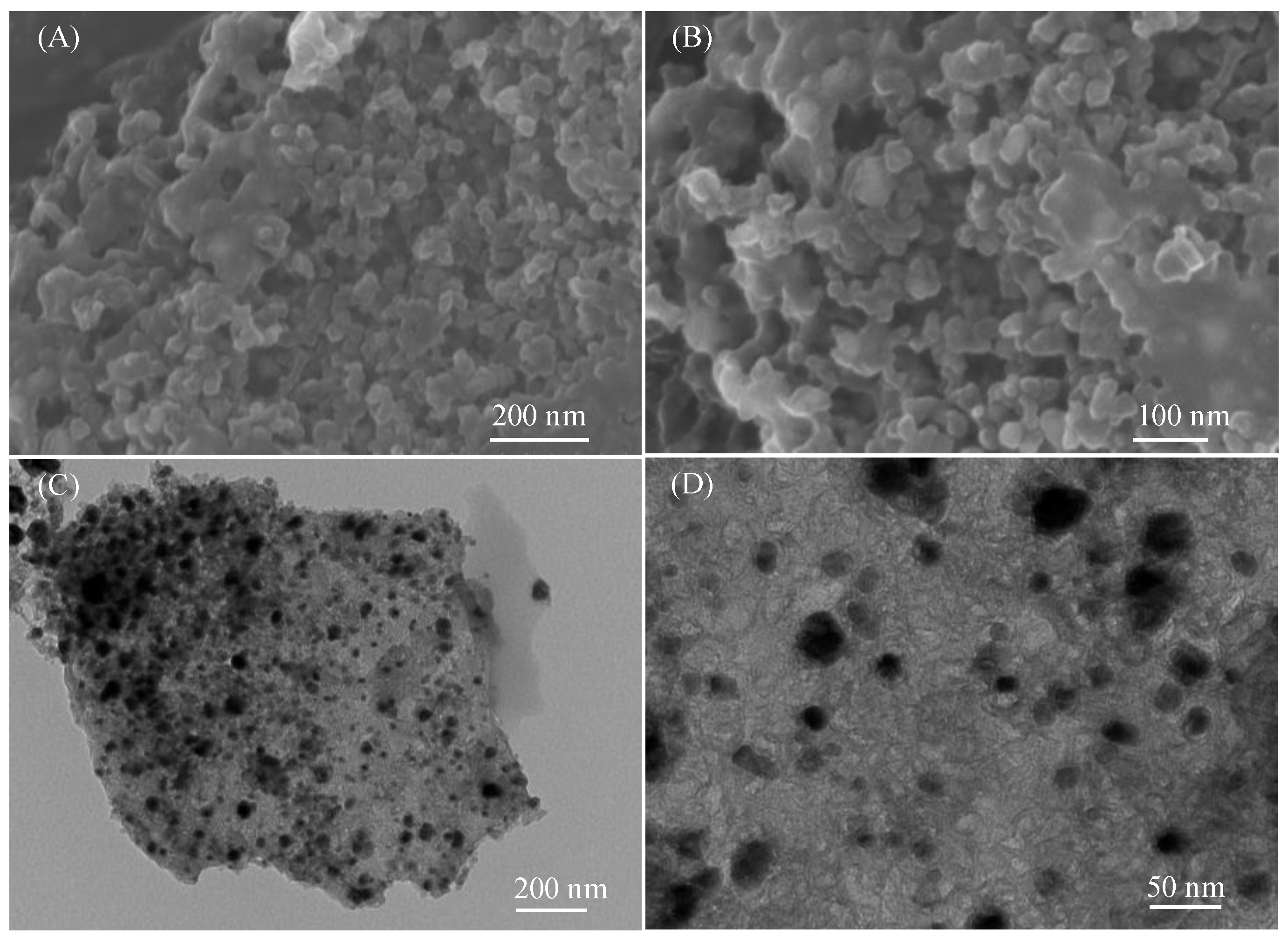 Polymers 15 00521 g003