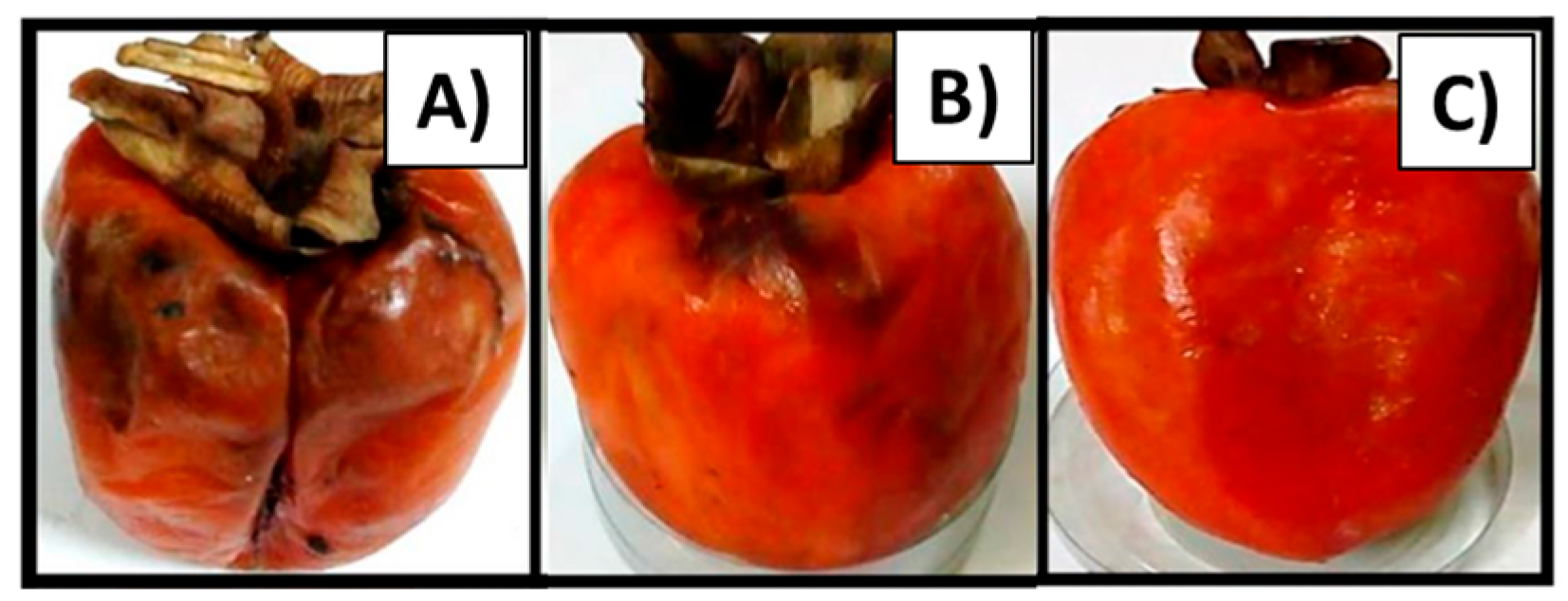 Polymers 15 00526 g005 Polymers 15 00526 g005