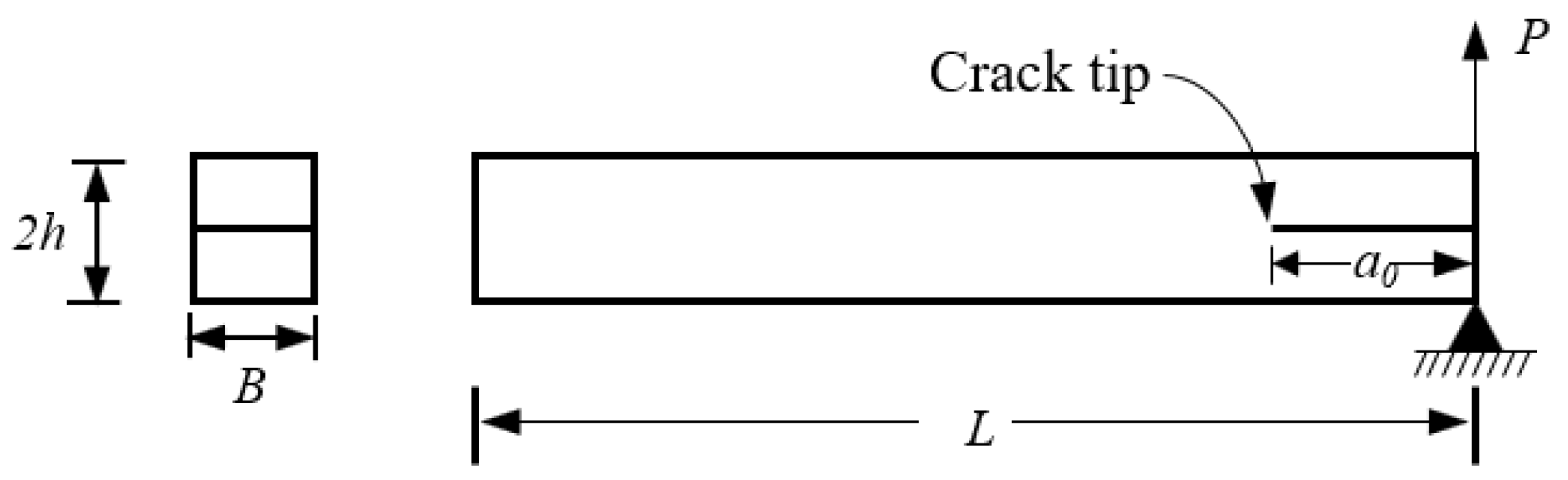 Polymers 15 00527 g006