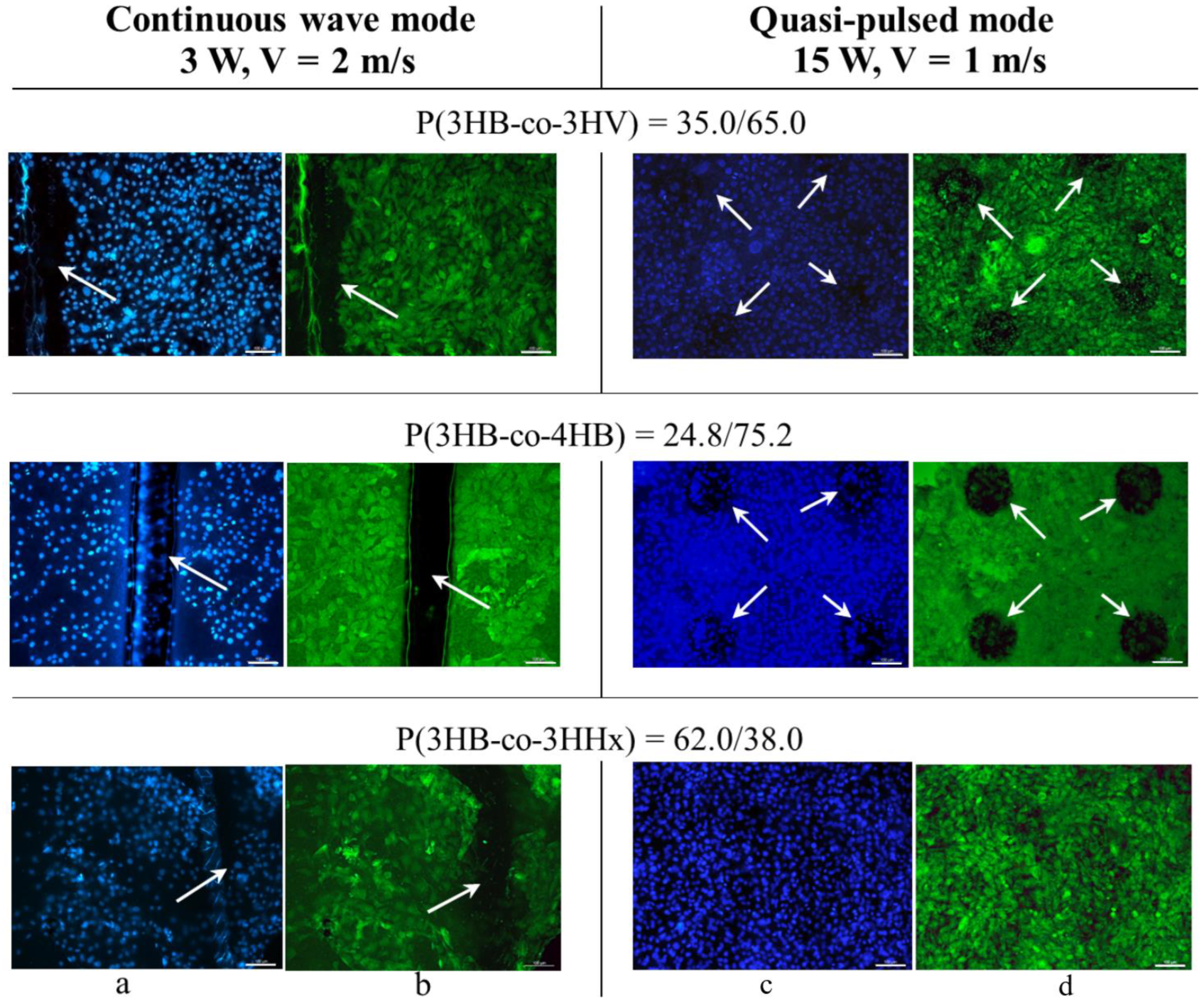Polymers 15 00531 g006