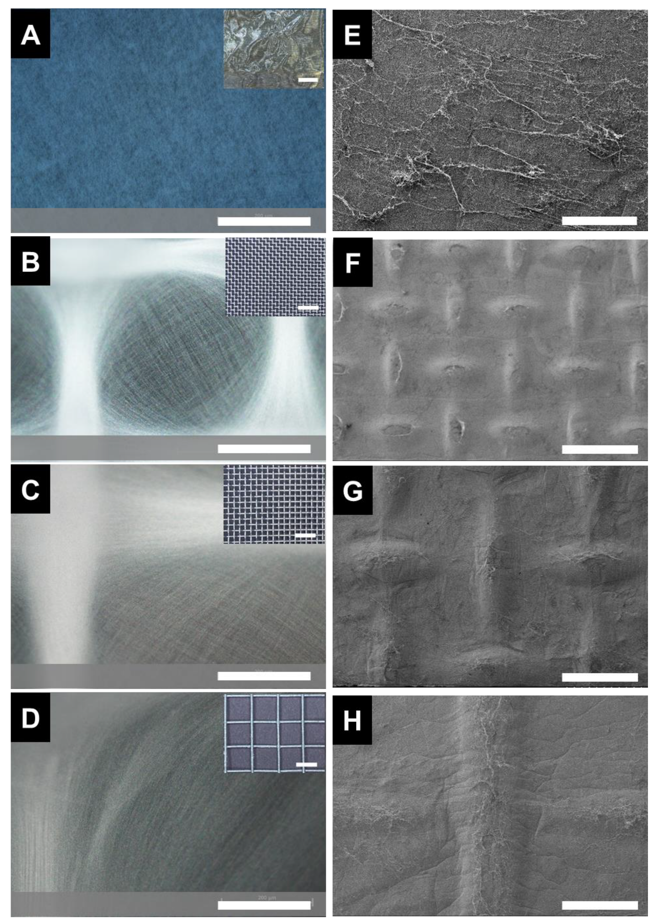 Polymers 15 00533 g001 Polymers 15 00533 g001