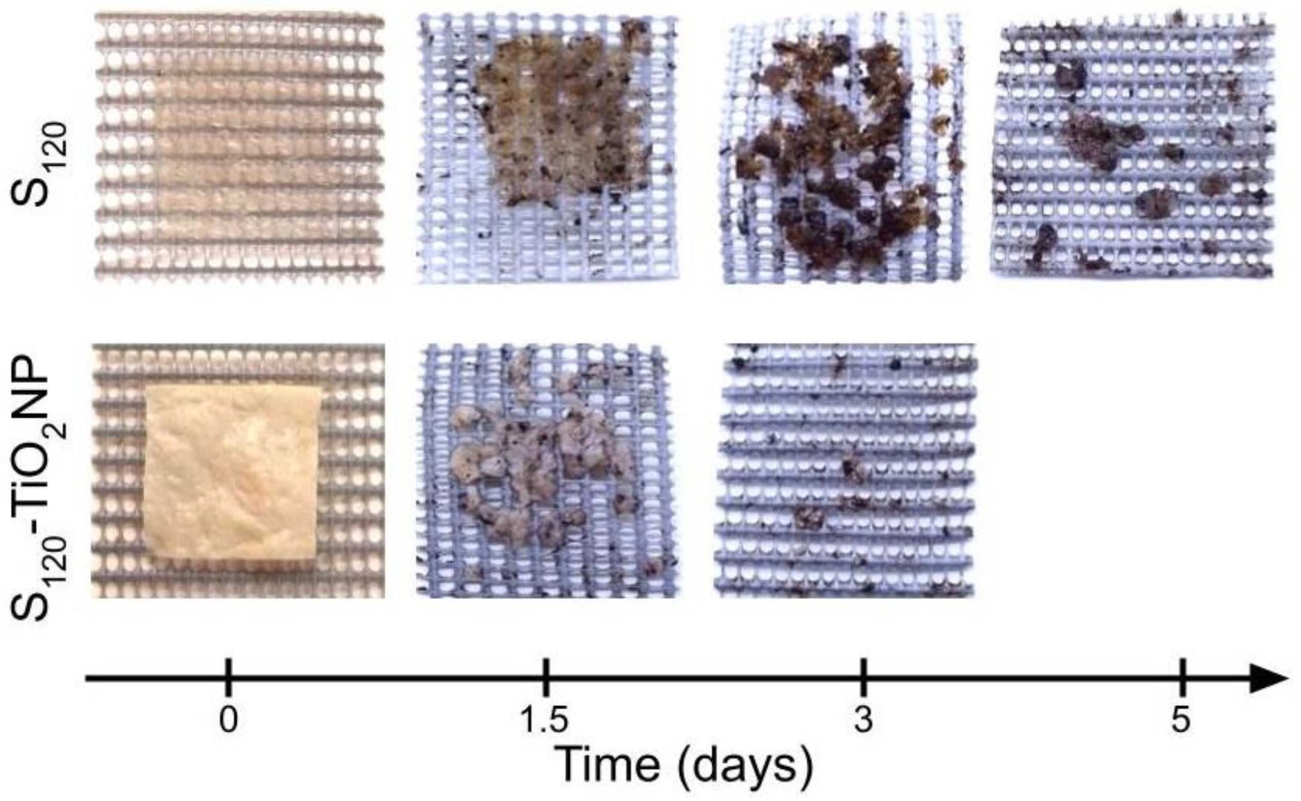 Polymers 15 00535 g009