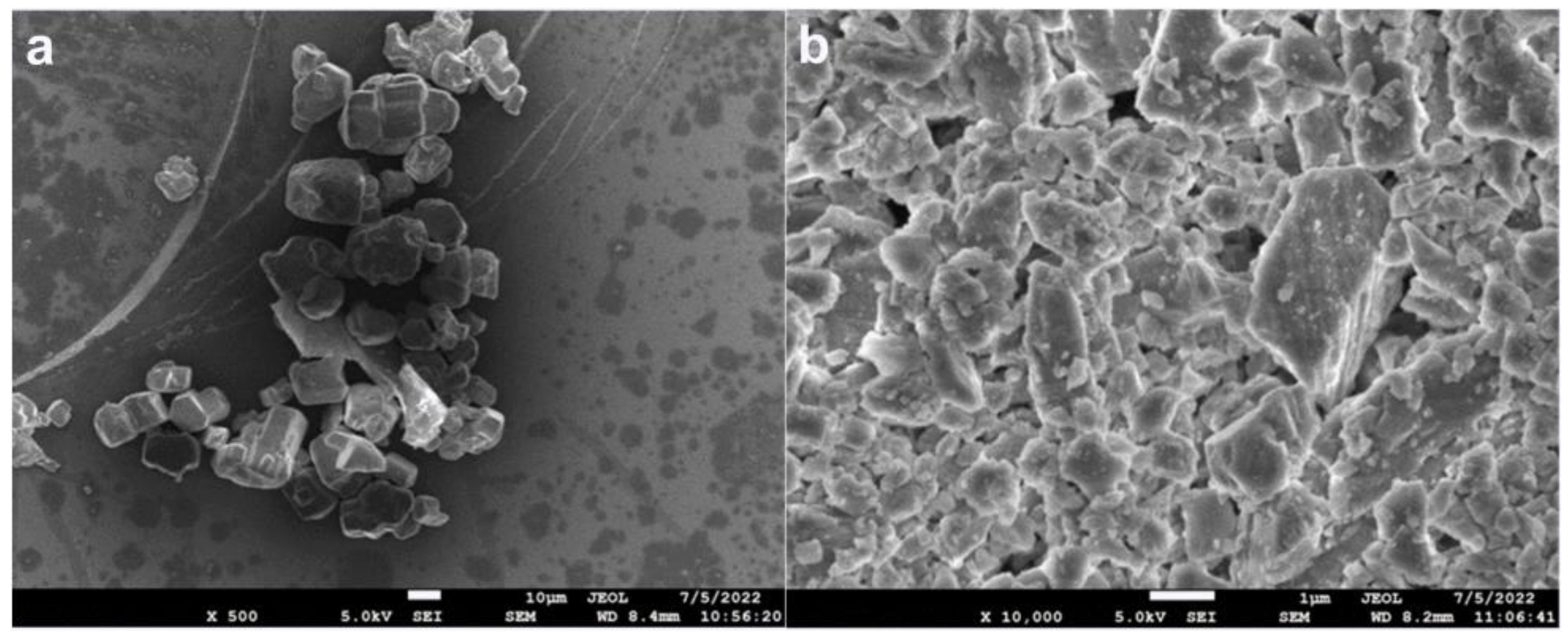 Polymers 15 00537 g001 Polymers 15 00537 g001