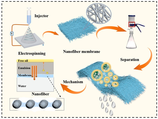 Polymers 15 00540 g006