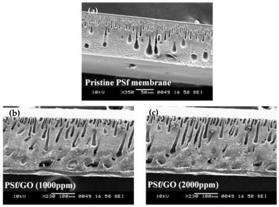 Polymers 15 00540 g008