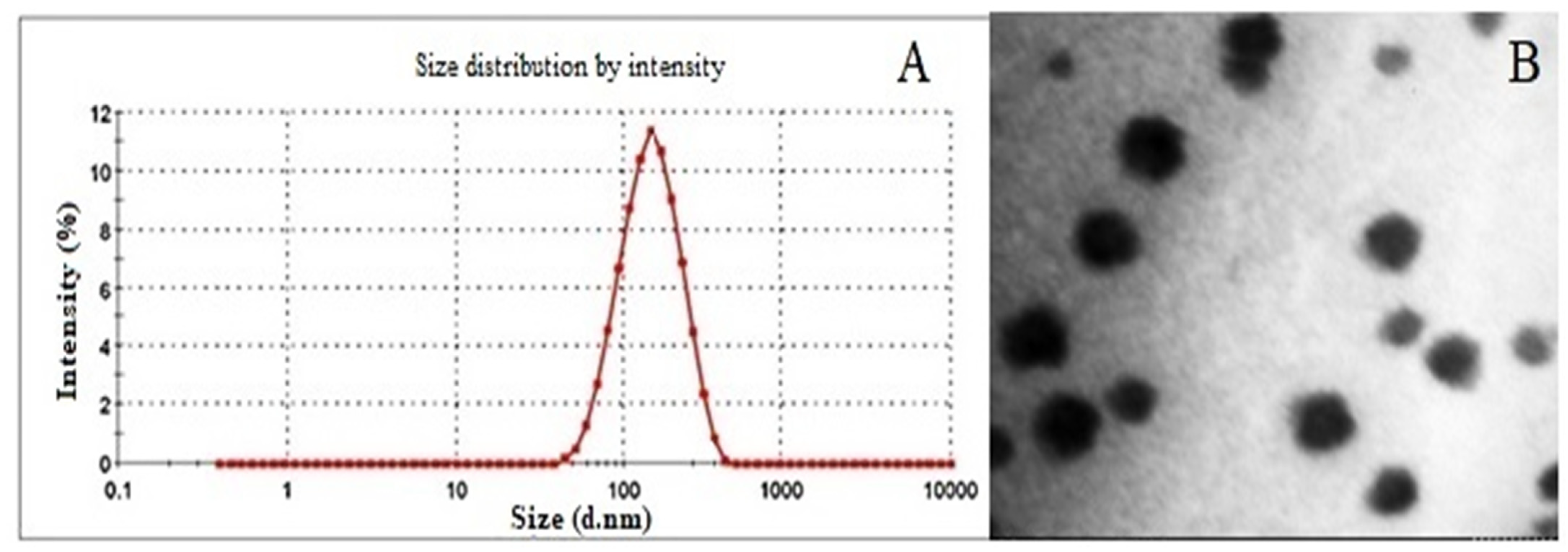Polymers 15 00542 g002