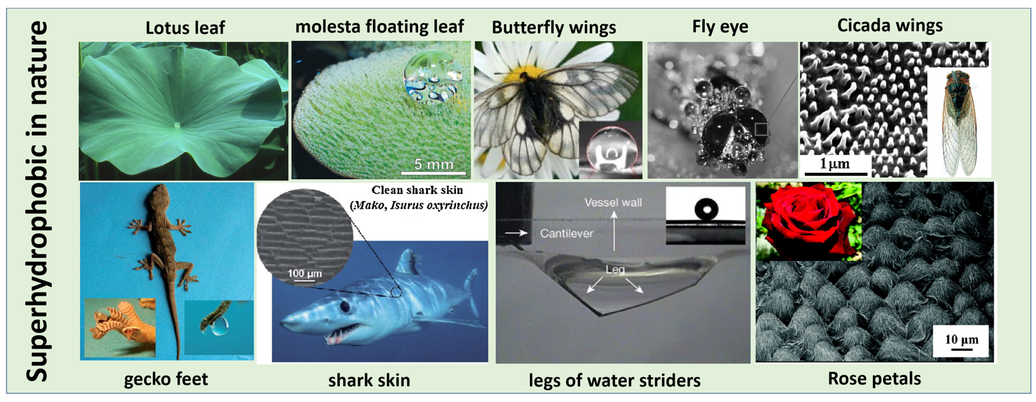 Polymers 15 00543 g001