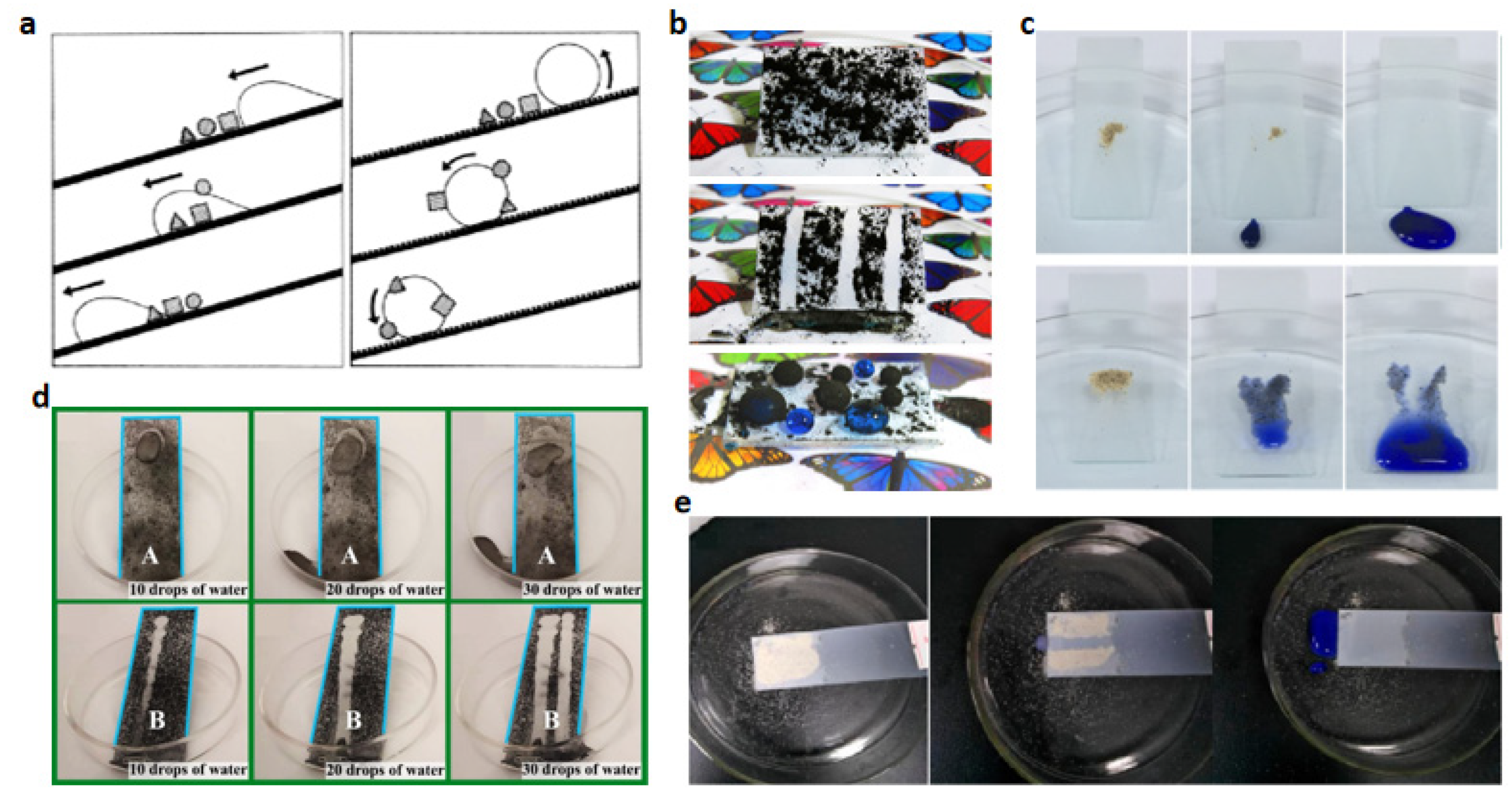 Polymers 15 00543 g011