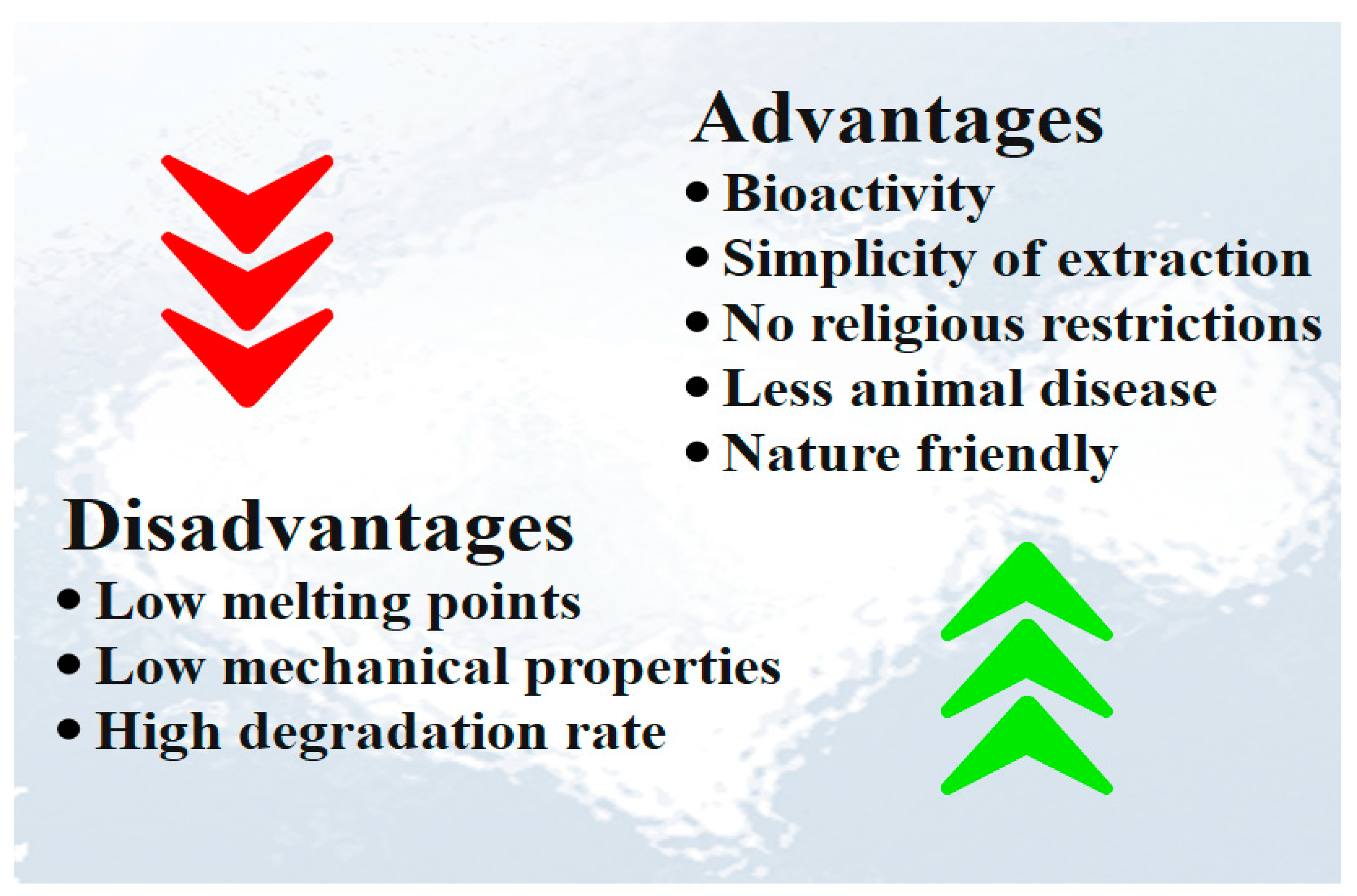 Polymers 15 00544 g006