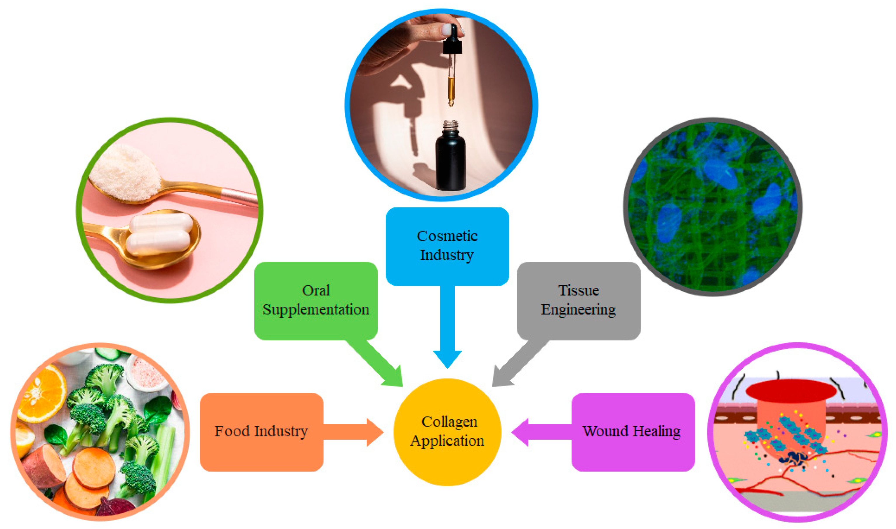 Polymers 15 00544 g009