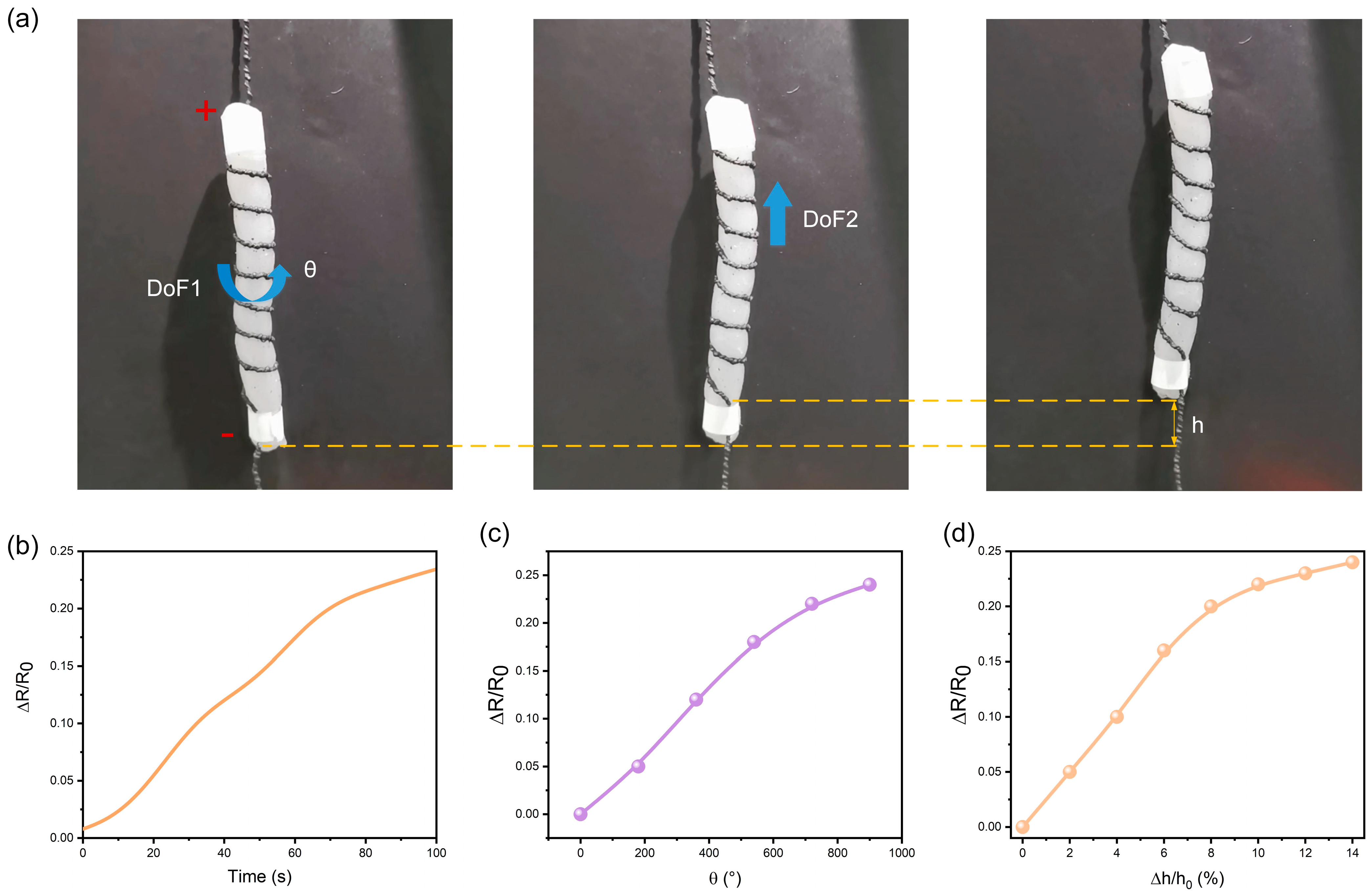Polymers 15 00552 g006