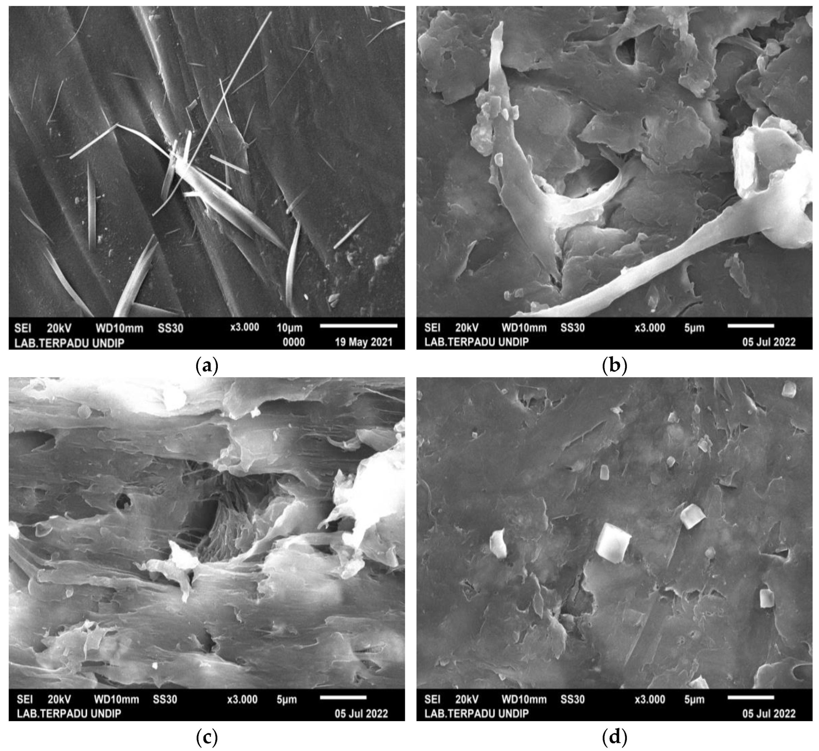 Polymers 15 00559 g003