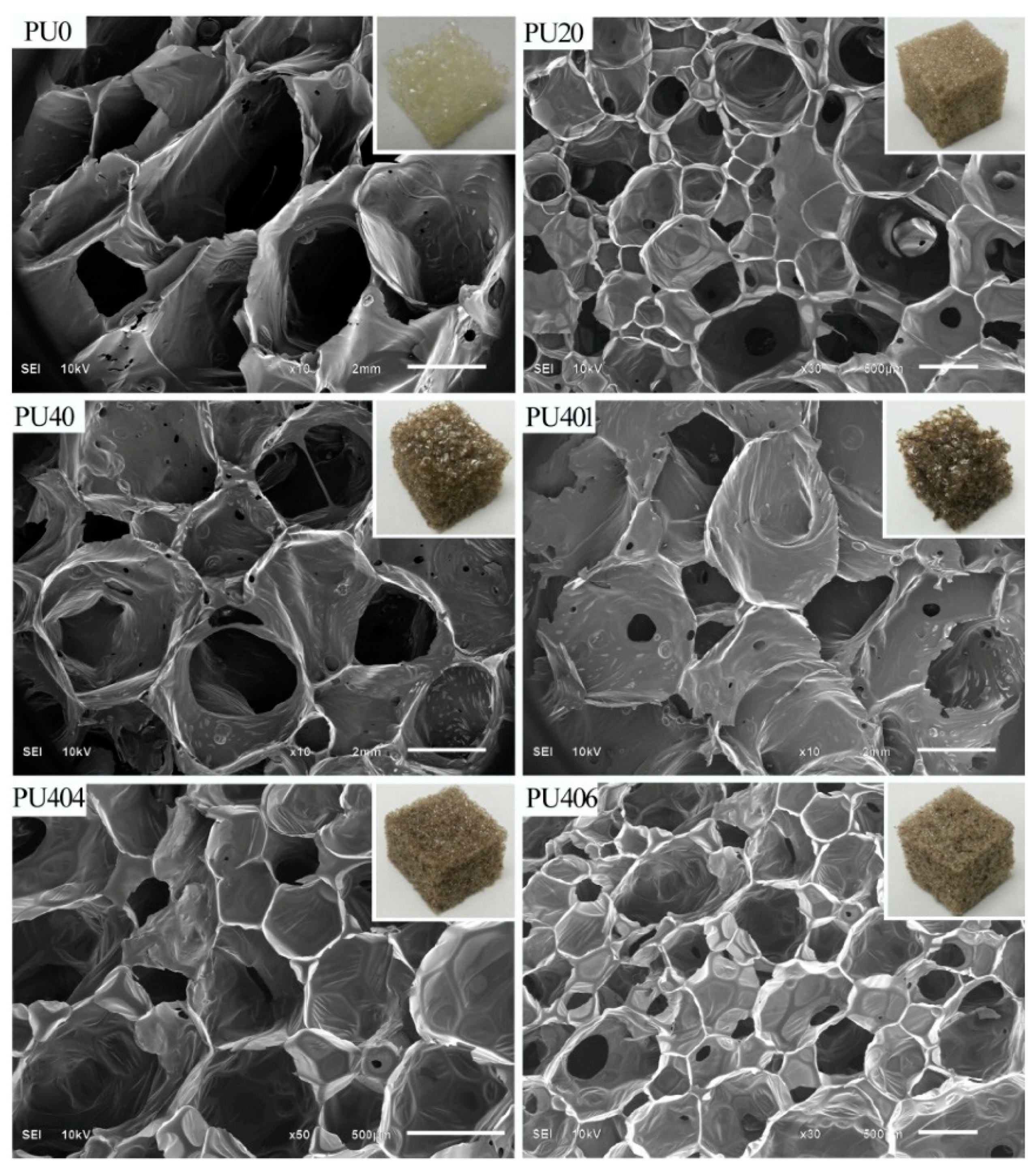 Polymers 15 00563 g015 Polymers 15 00563 g015