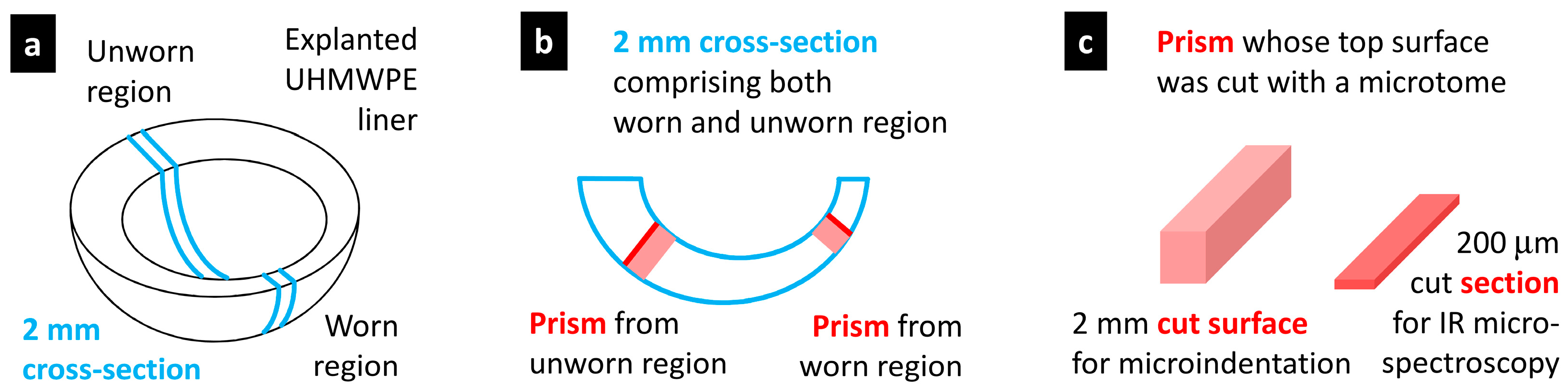 Polymers 15 00568 g001