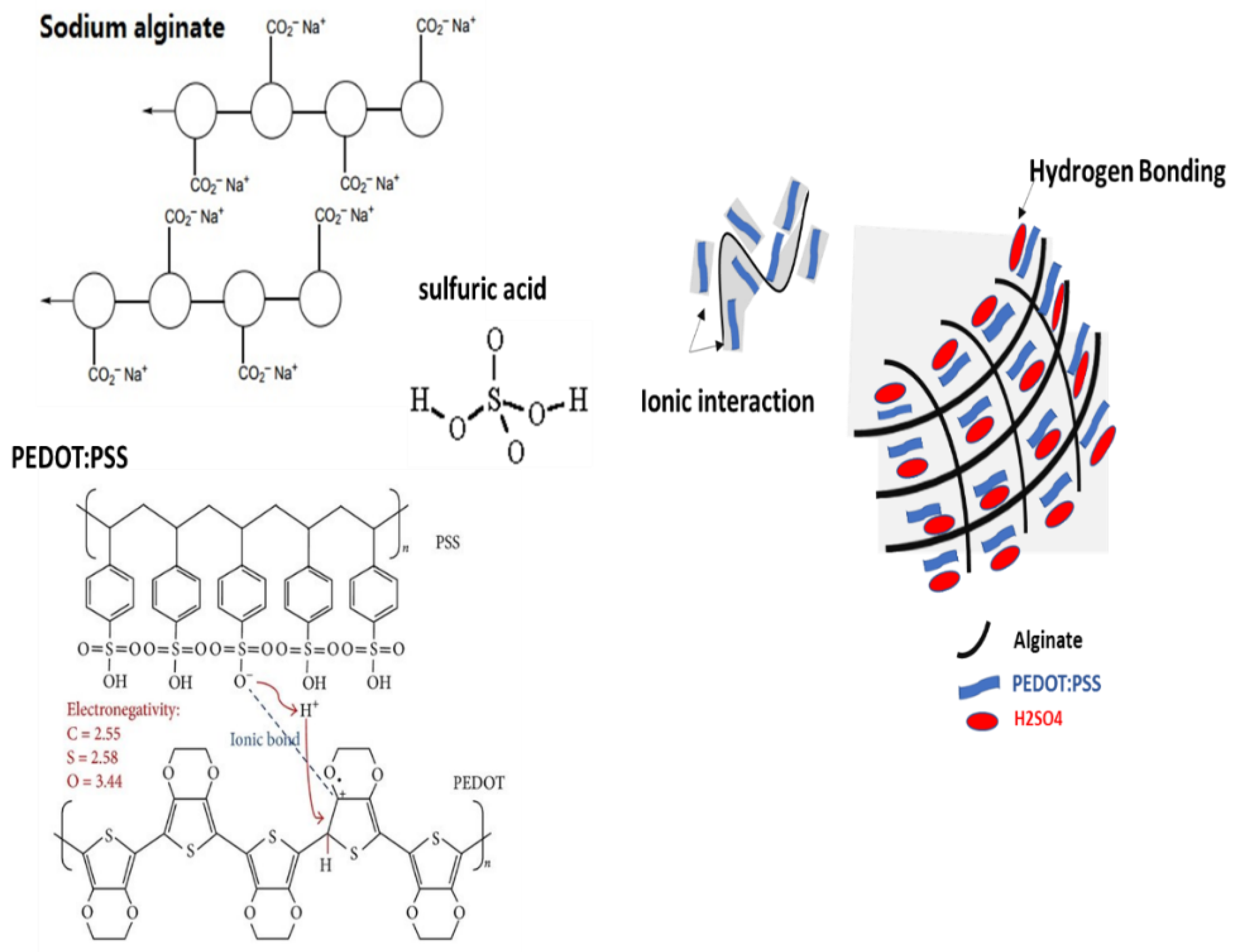 Polymers 15 00571 g001