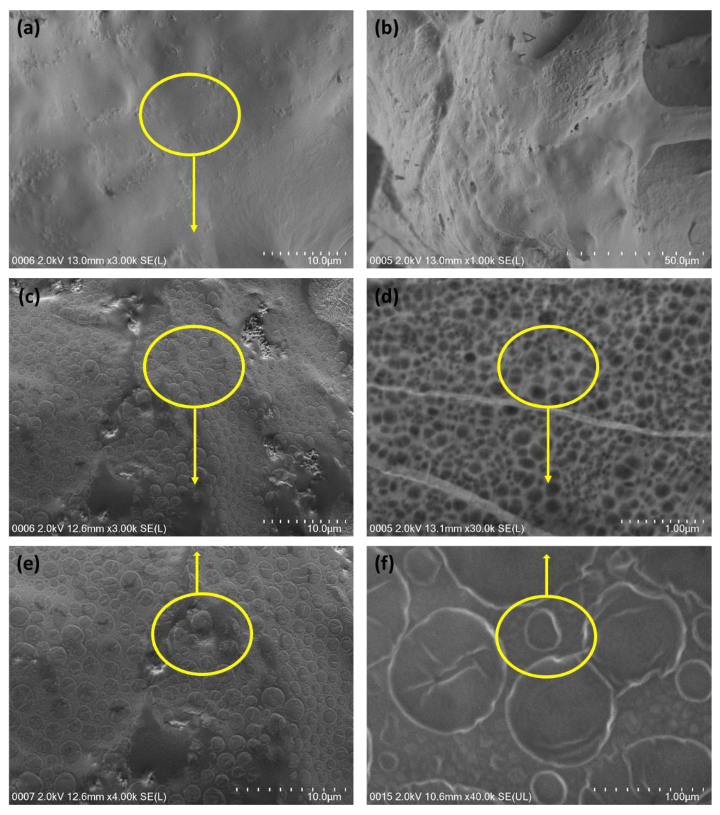 Polymers 15 00571 g002