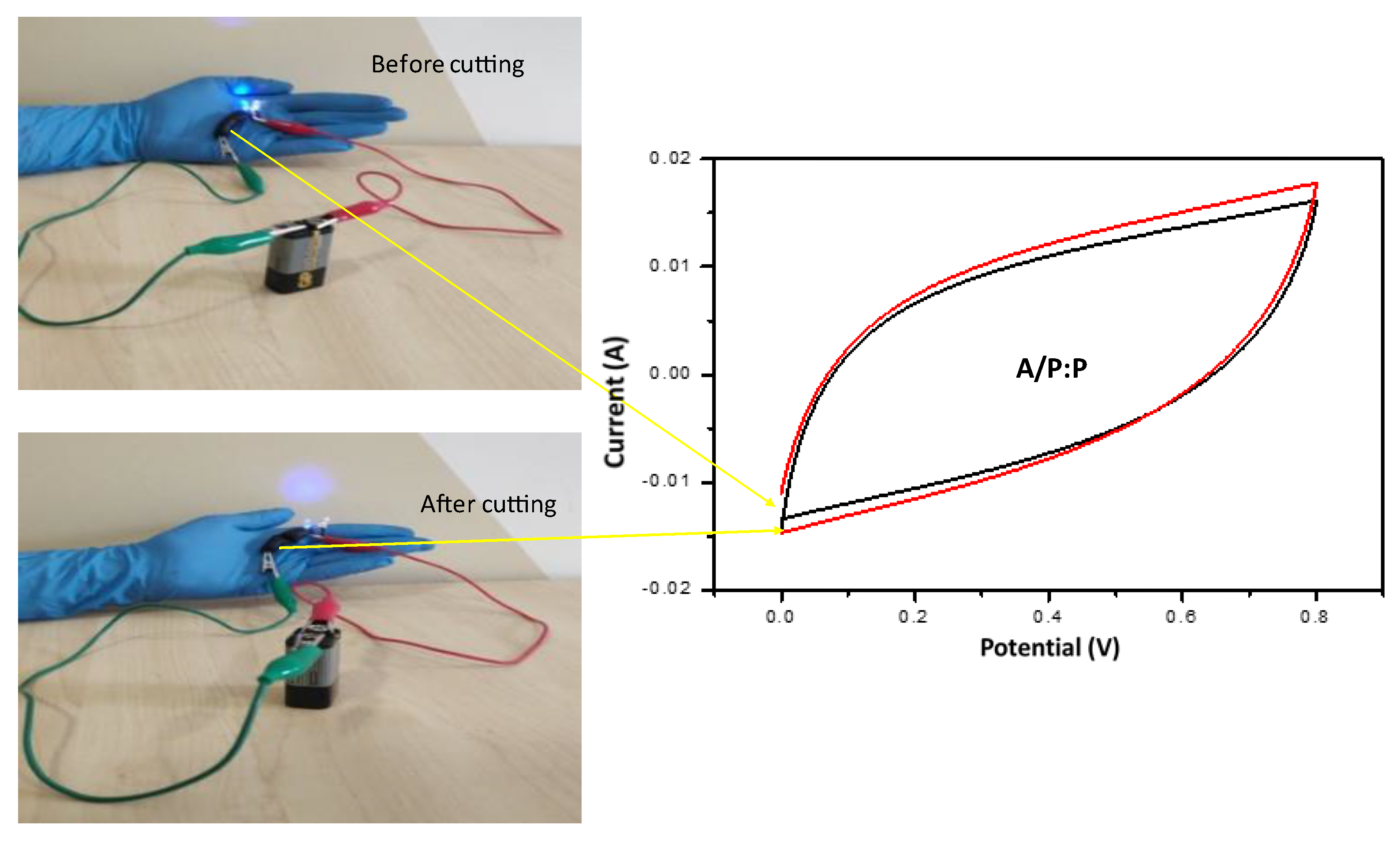 Polymers 15 00571 g011