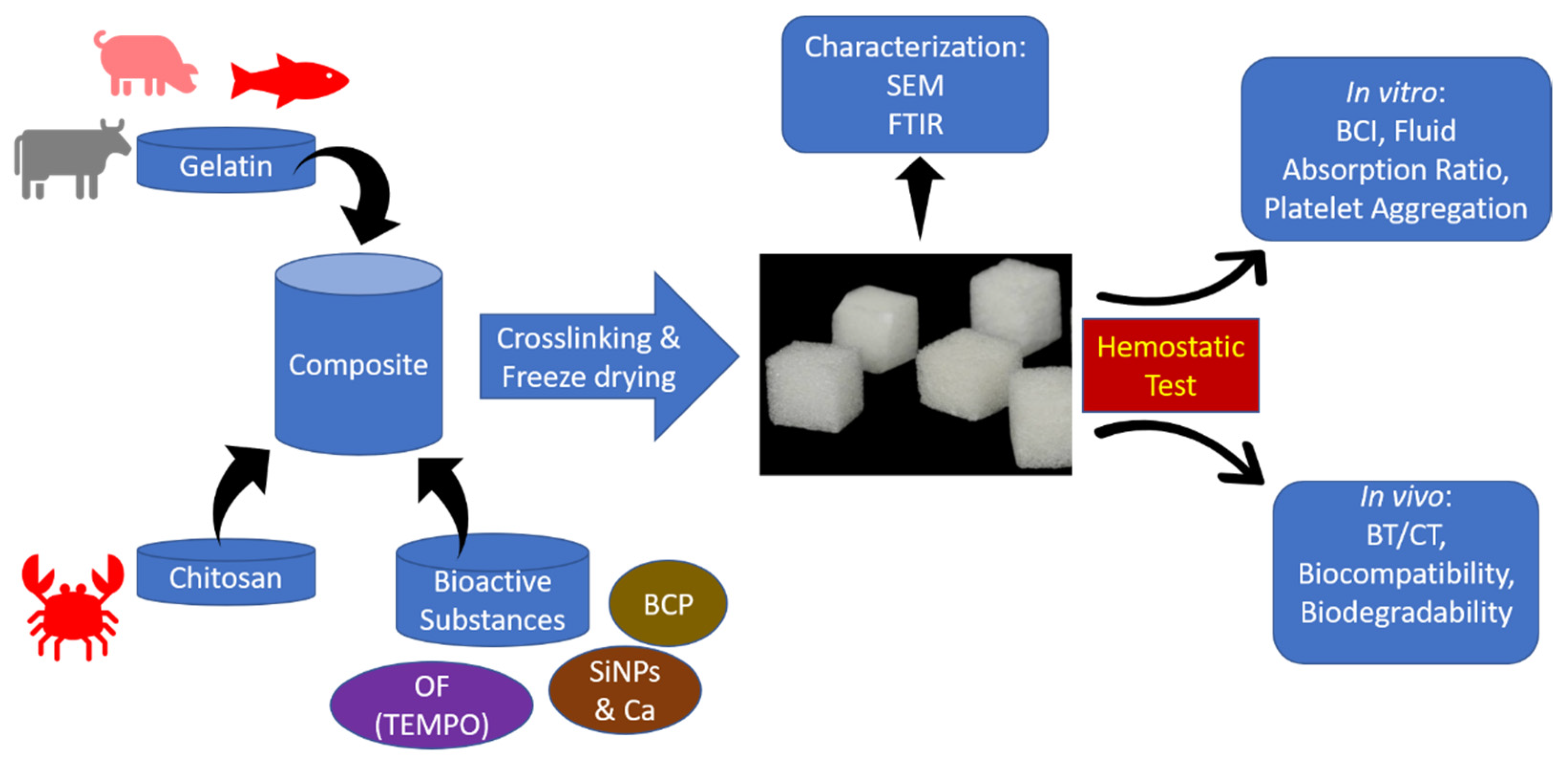 Polymers 15 00575 g002