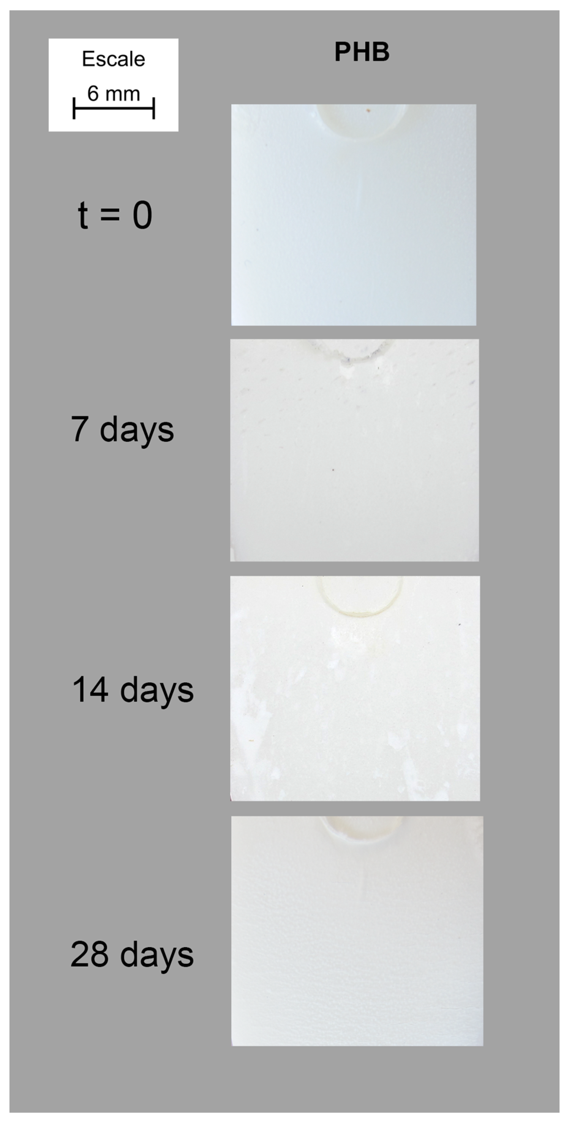 Polymers 15 00579 g001