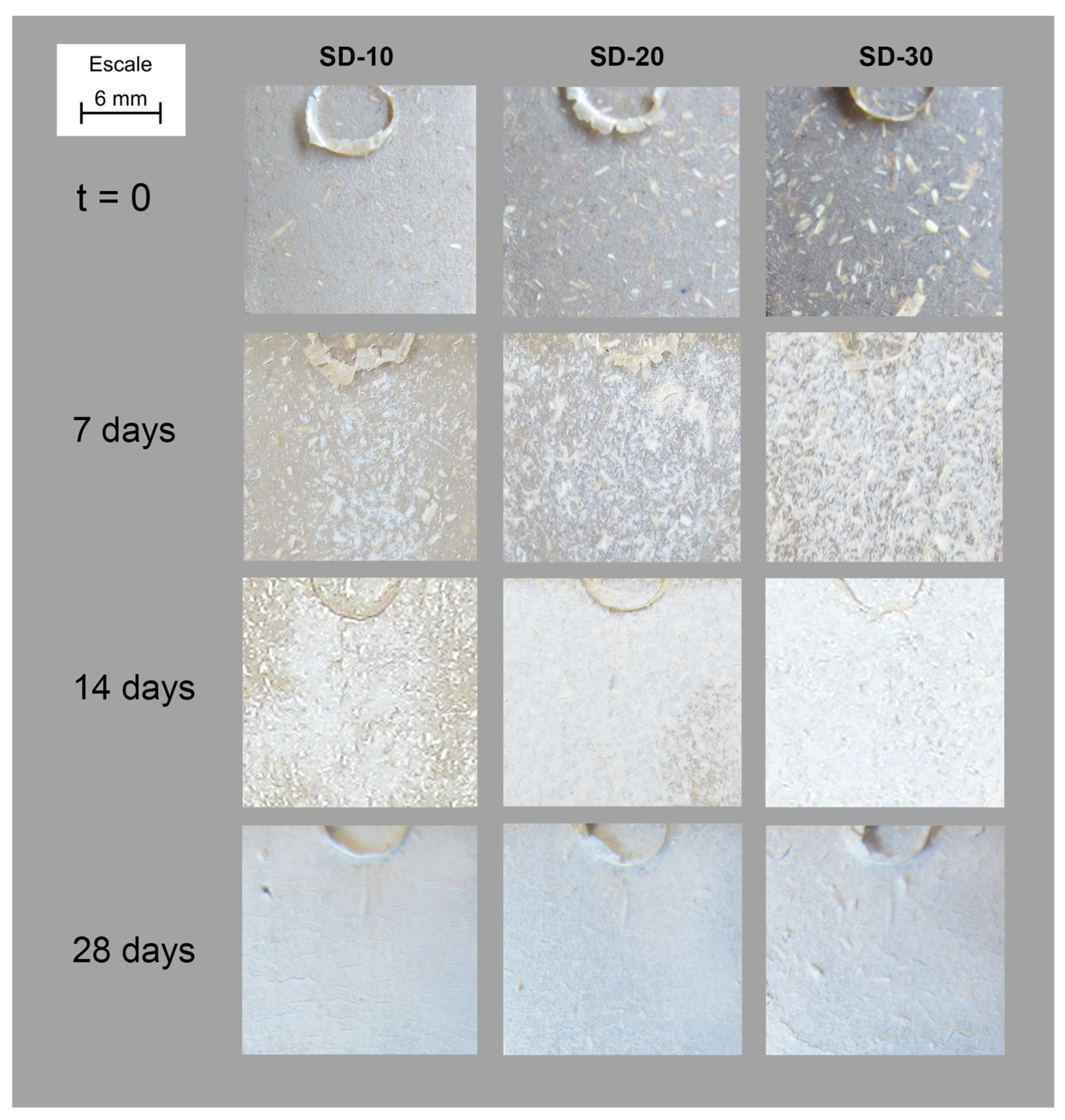 Polymers 15 00579 g002