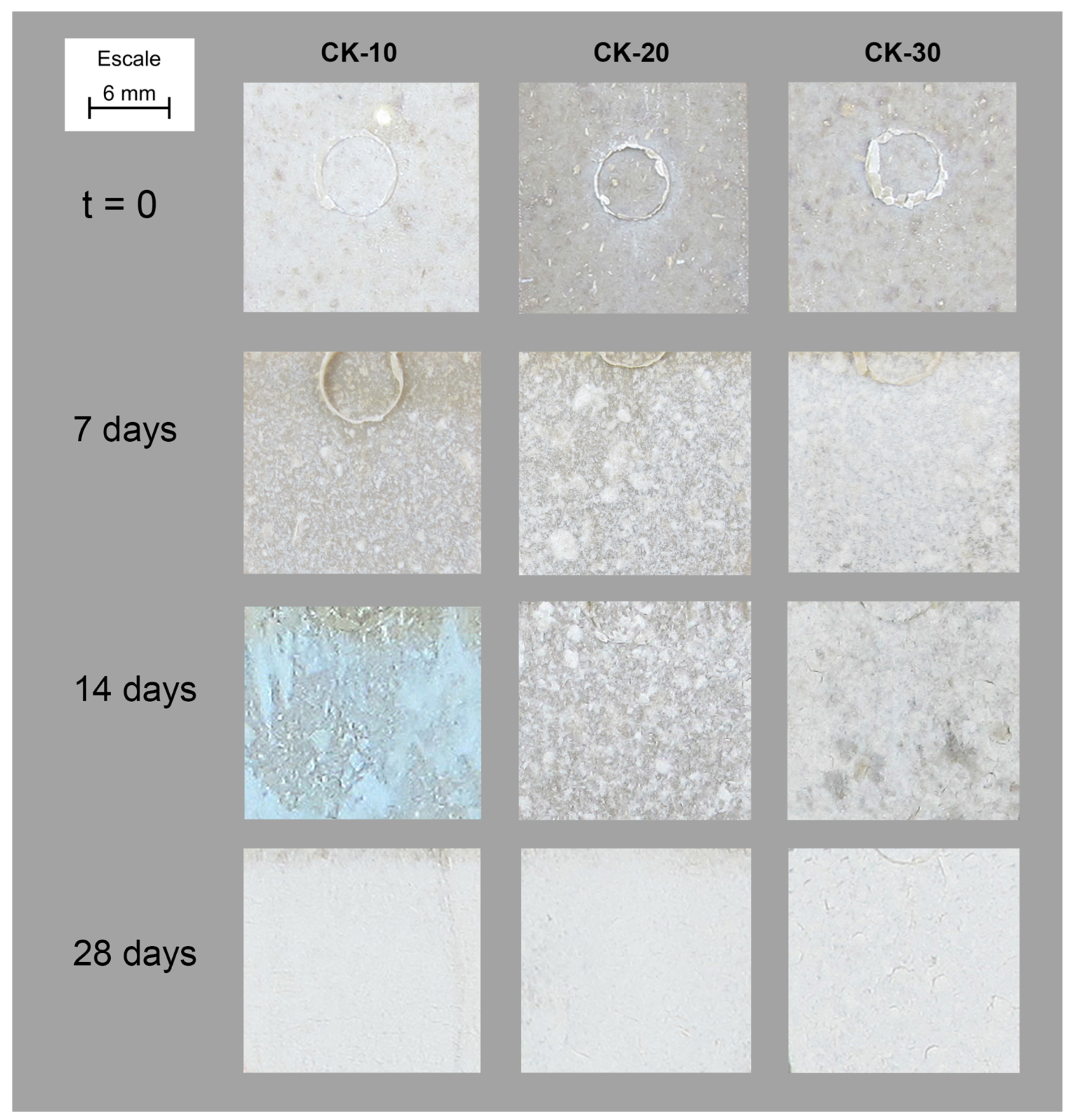 Polymers 15 00579 g003
