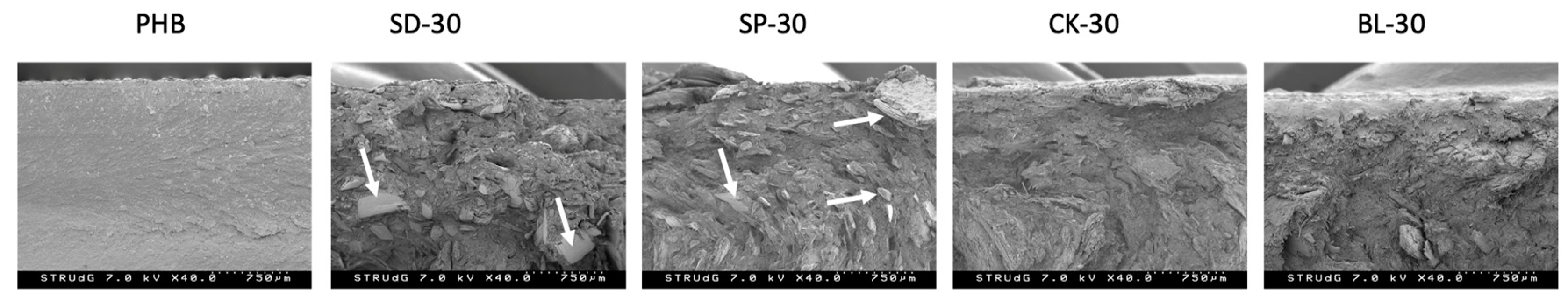 Polymers 15 00579 g009