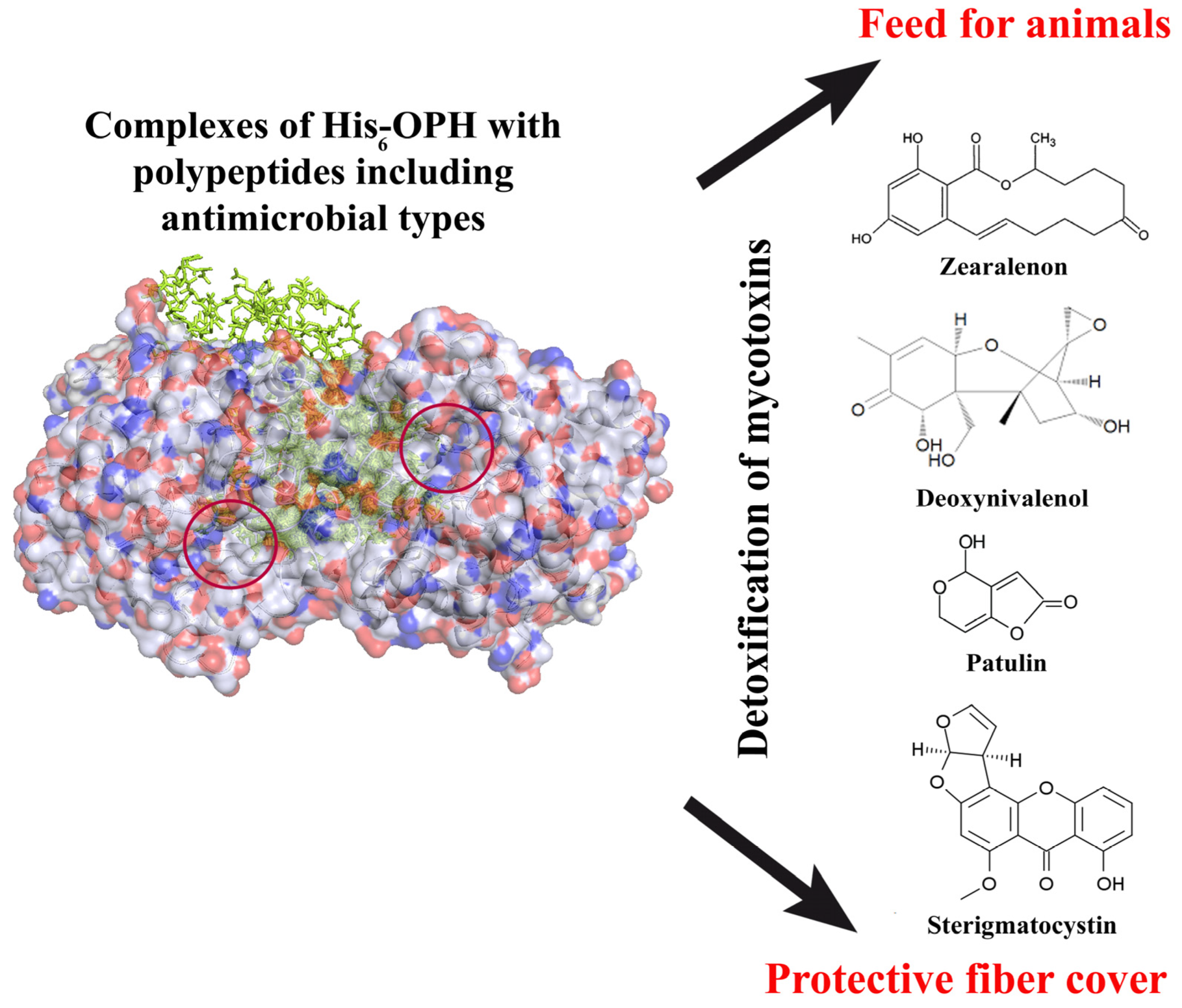 Polymers 15 00591 g002