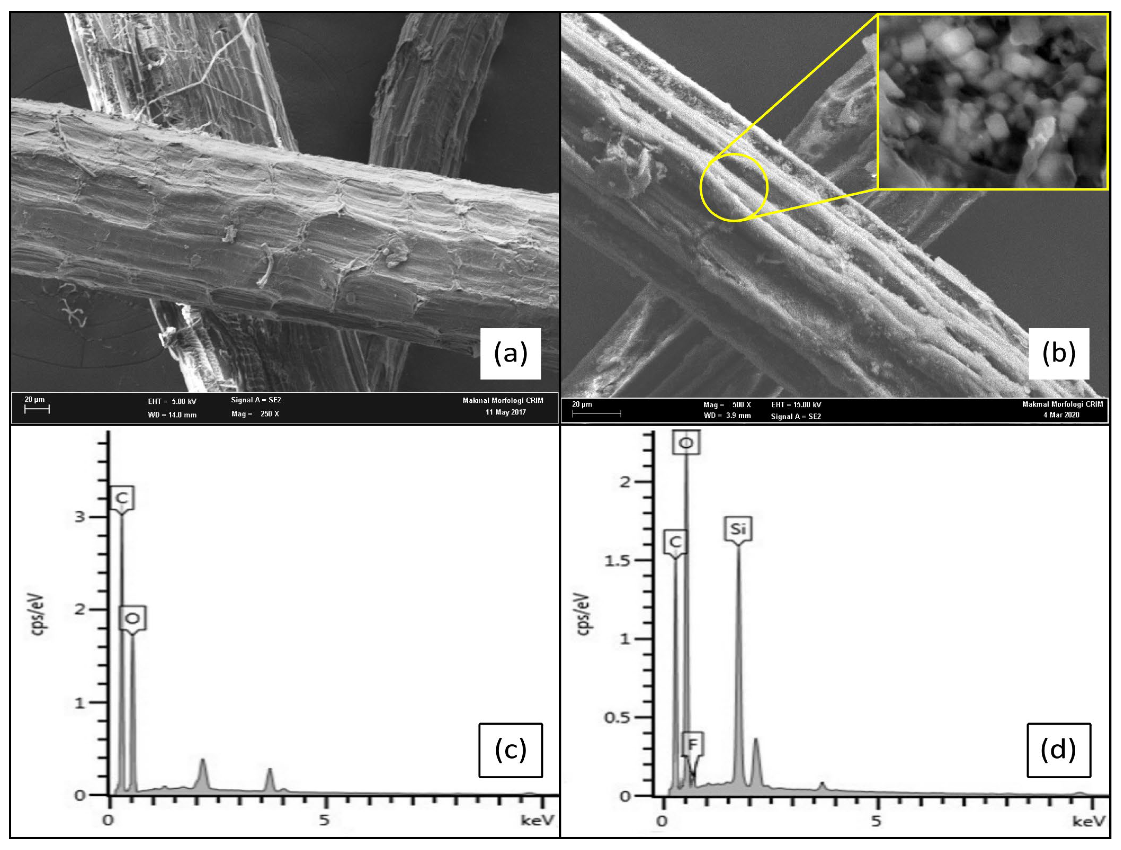 Polymers 15 00594 g006 Polymers 15 00594 g006