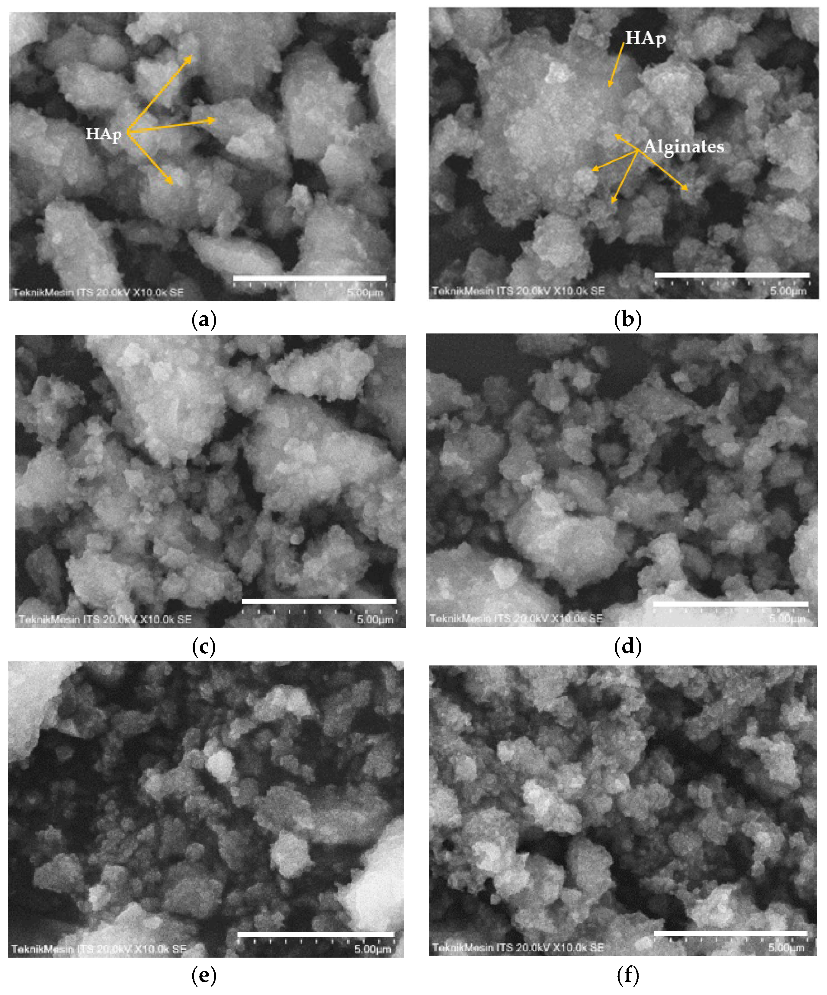 Polymers 15 00614 g004