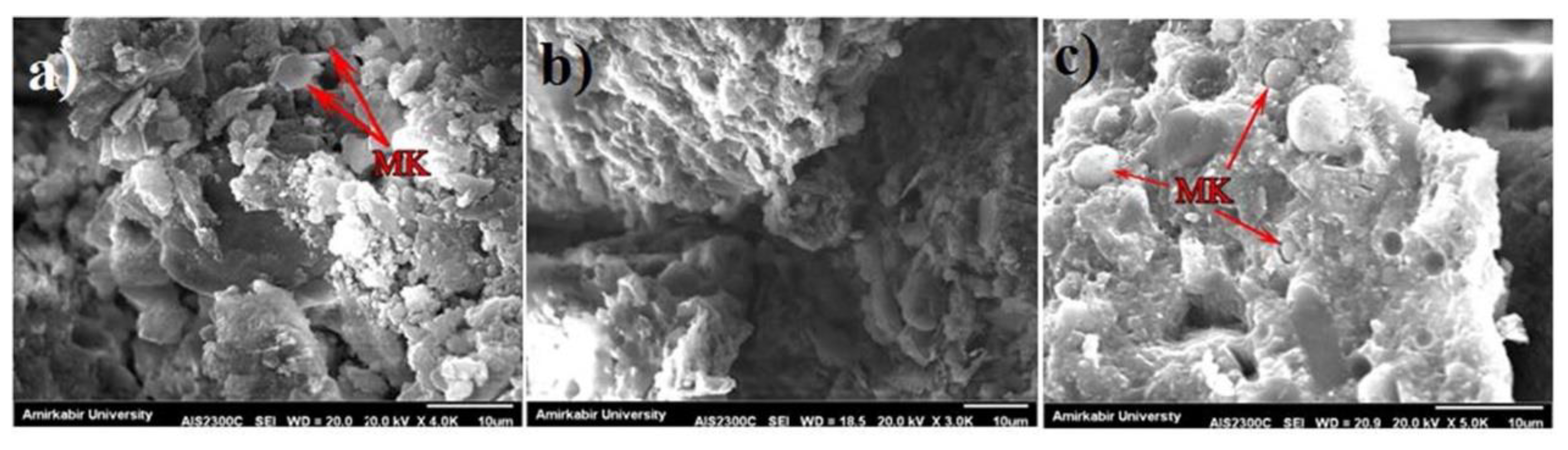 Polymers 15 00615 g020