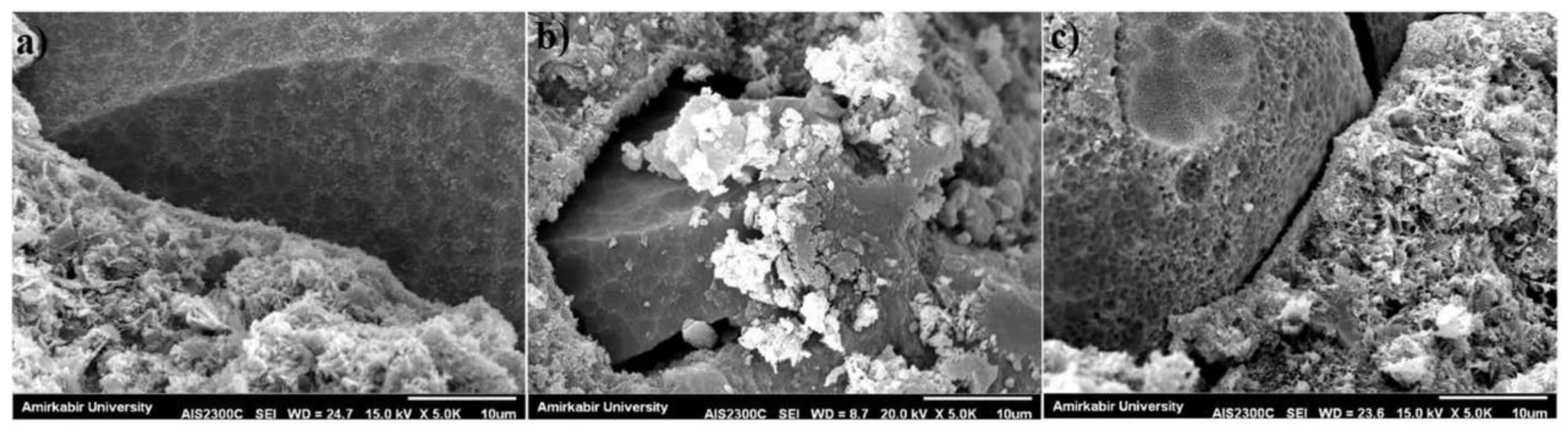 Polymers 15 00615 g021