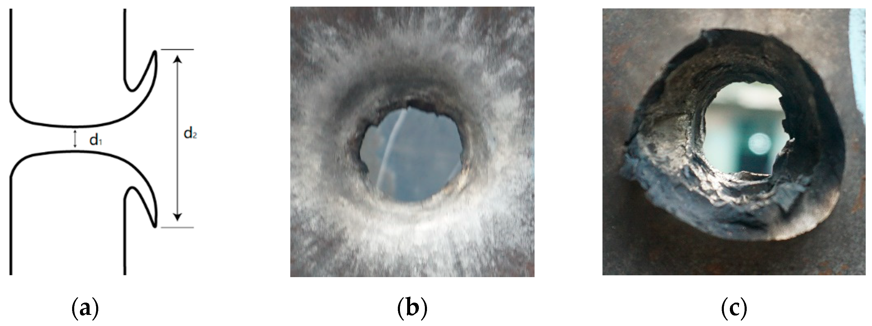 Polymers 15 00617 g009