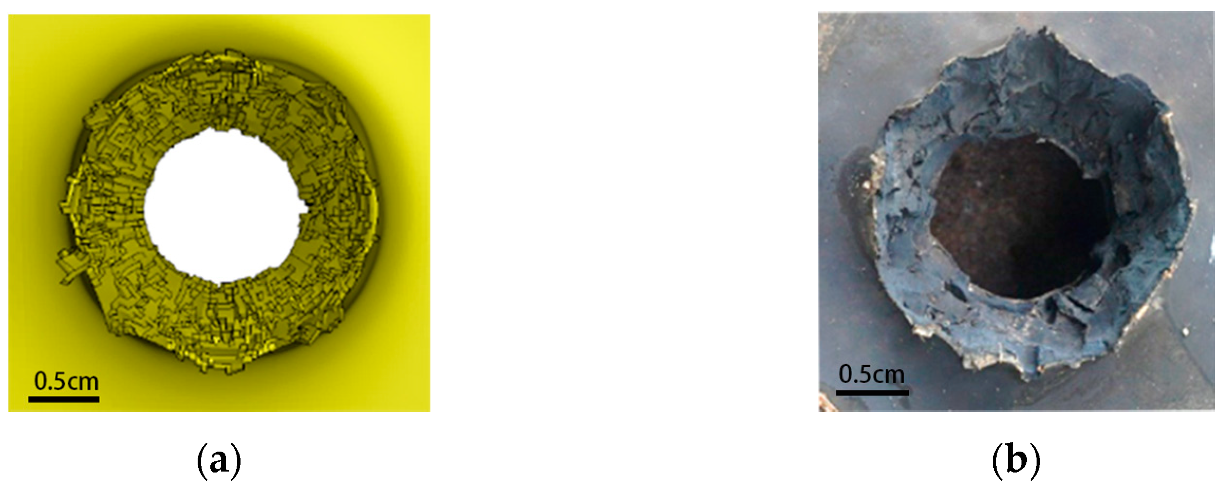 Polymers 15 00617 g010