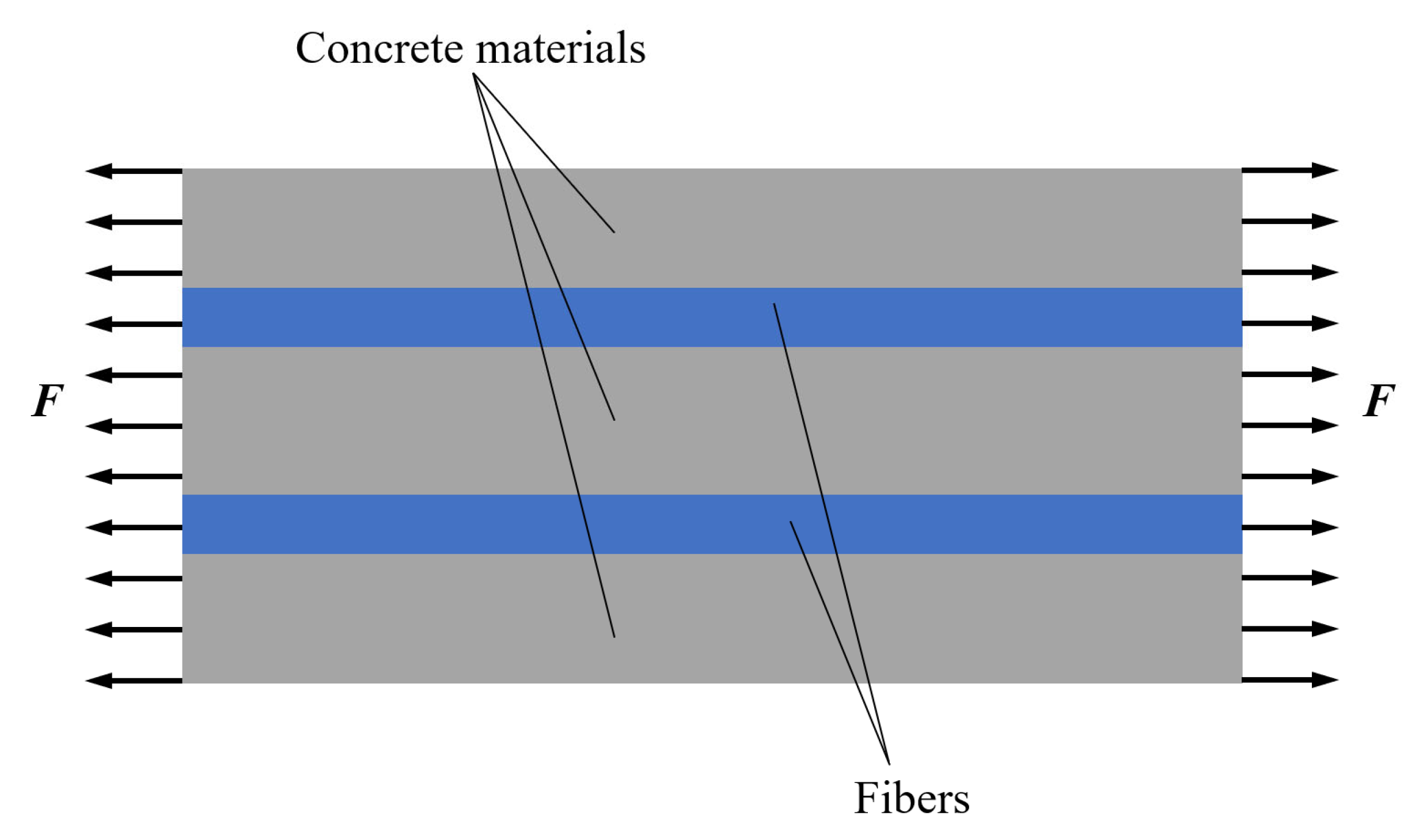 Polymers 15 00621 g013