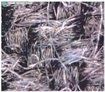 Polymers 15 00633 i003 Polymers 15 00633 i003