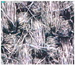 Polymers 15 00633 i004 Polymers 15 00633 i004