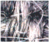 Polymers 15 00633 i006 Polymers 15 00633 i006