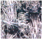 Polymers 15 00633 i008 Polymers 15 00633 i008